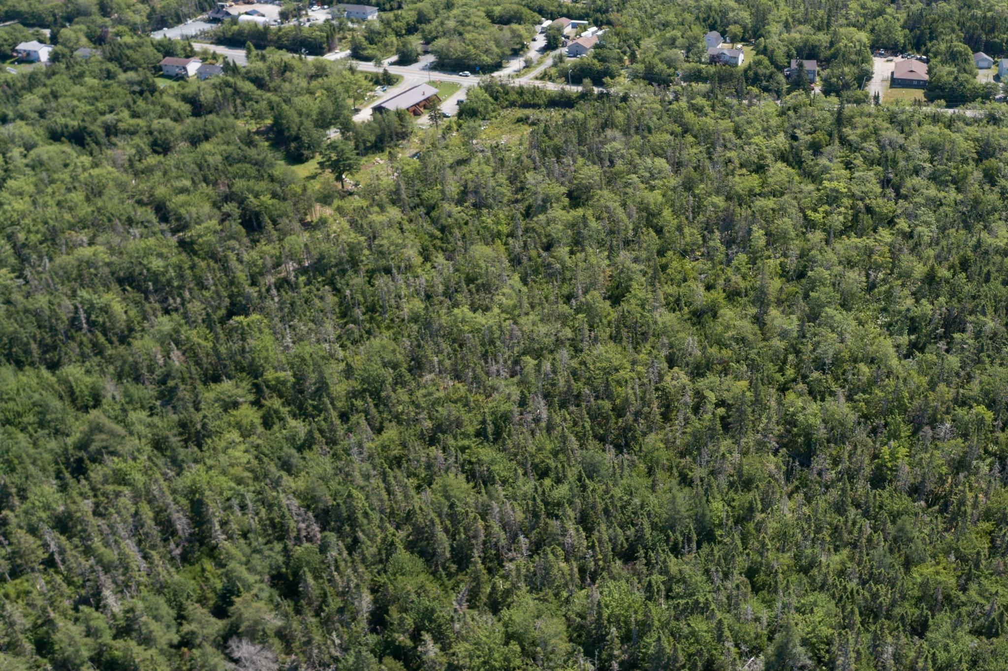 $99,900.00: Lot 1 No 333 Highway, Hatchet Lake