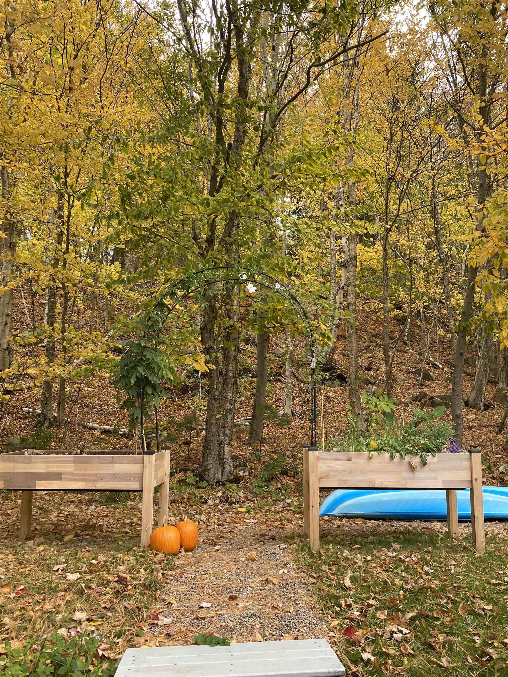 1237 Purcells Cove Road, Halifax, NS (MLS® 202622232) — Wood-finish raised garden beds with a decorative metal archway, set against a backdrop of mature trees