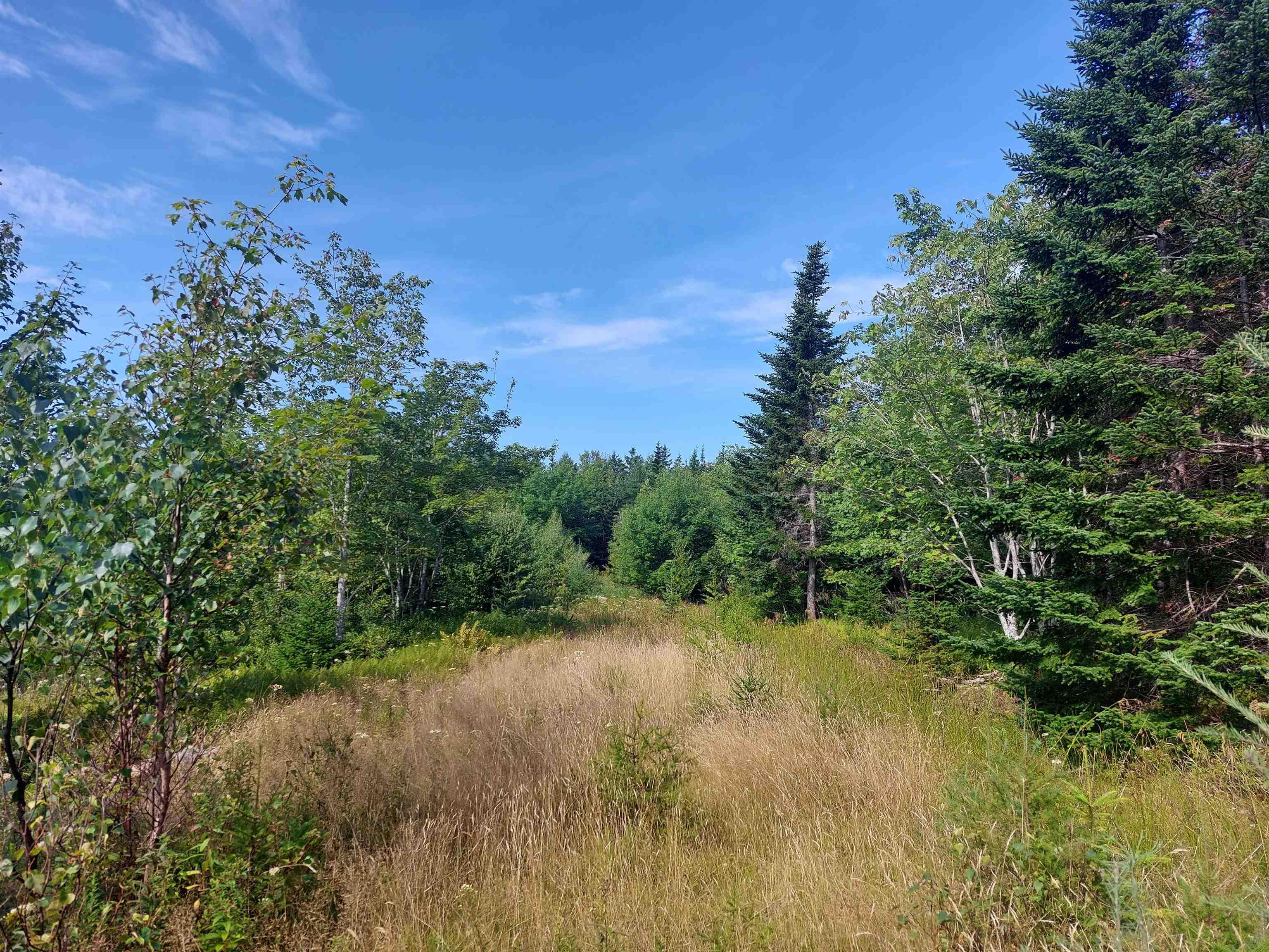 $35,000.00: Lot 5 Hill St, French Cove