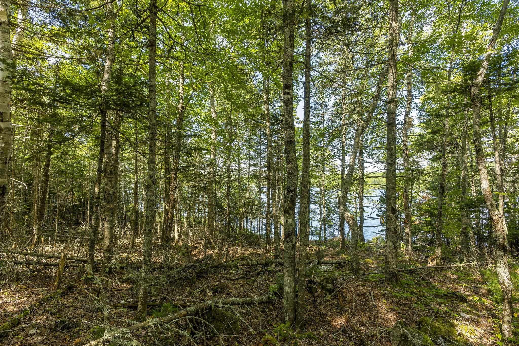 $99,900.00: Lot 7A Duck Pond Road N, Black River Lake