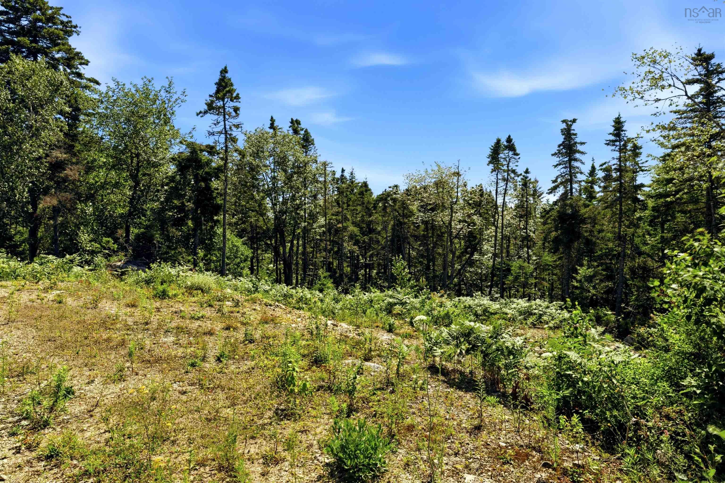 $599,900.00: Lot 105 Burkes Road, Shad Bay