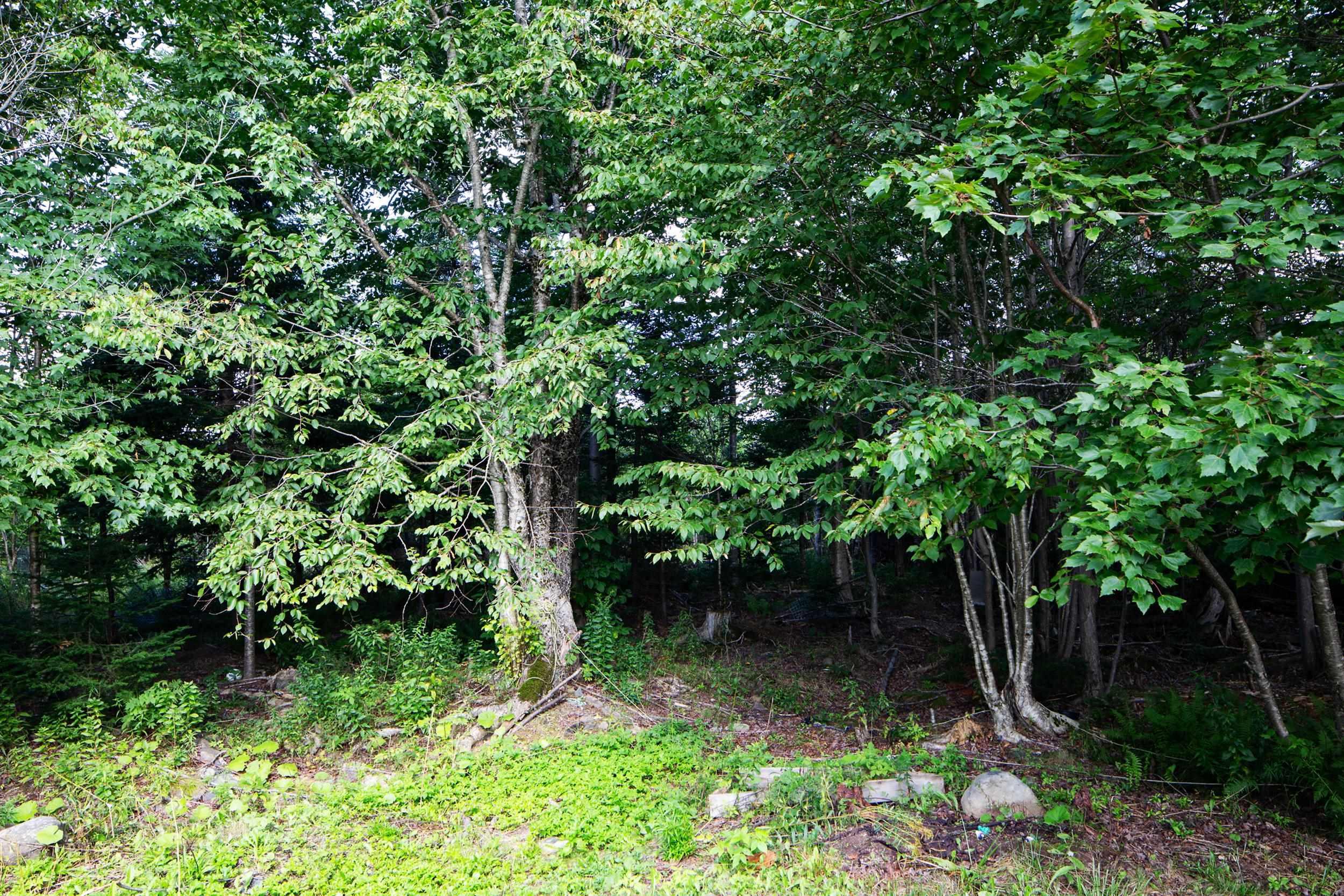30 Dyke Road, Cow Bay, NS (MLS 202622296)