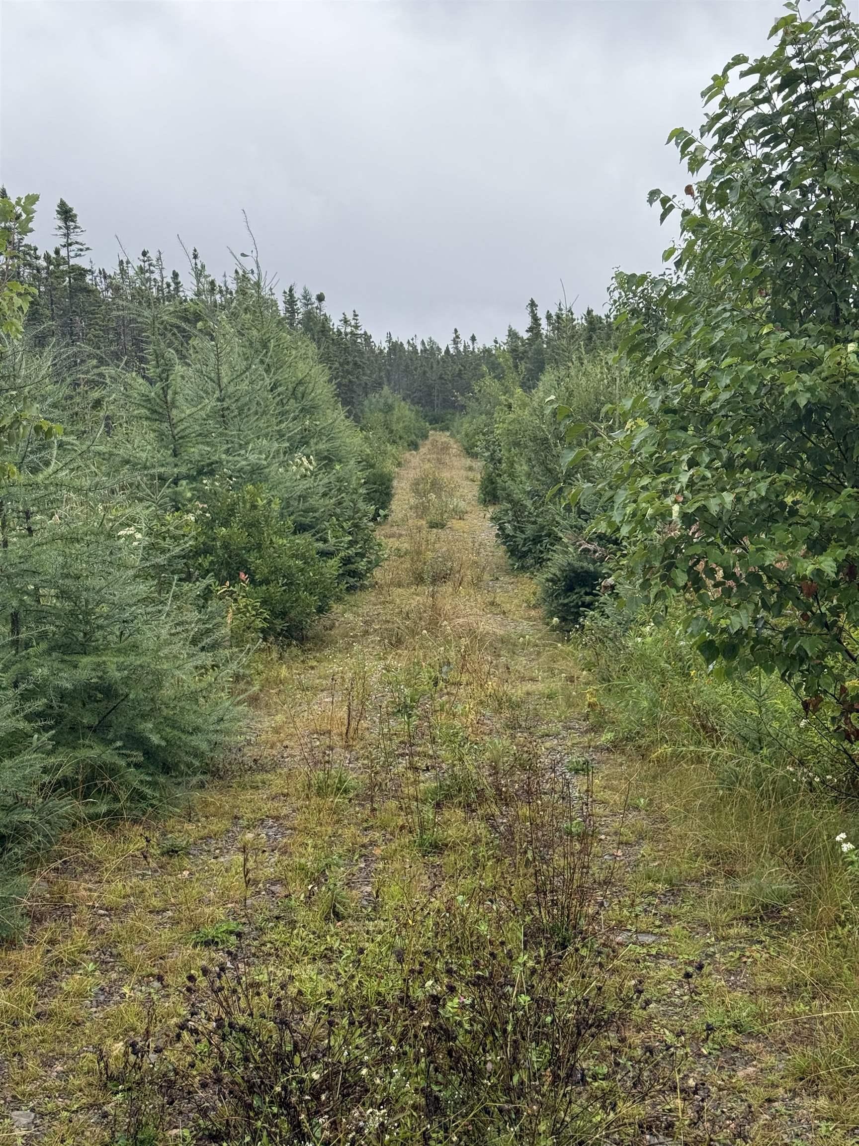 $79,500.00: Highway 19 Highway, Long Point
