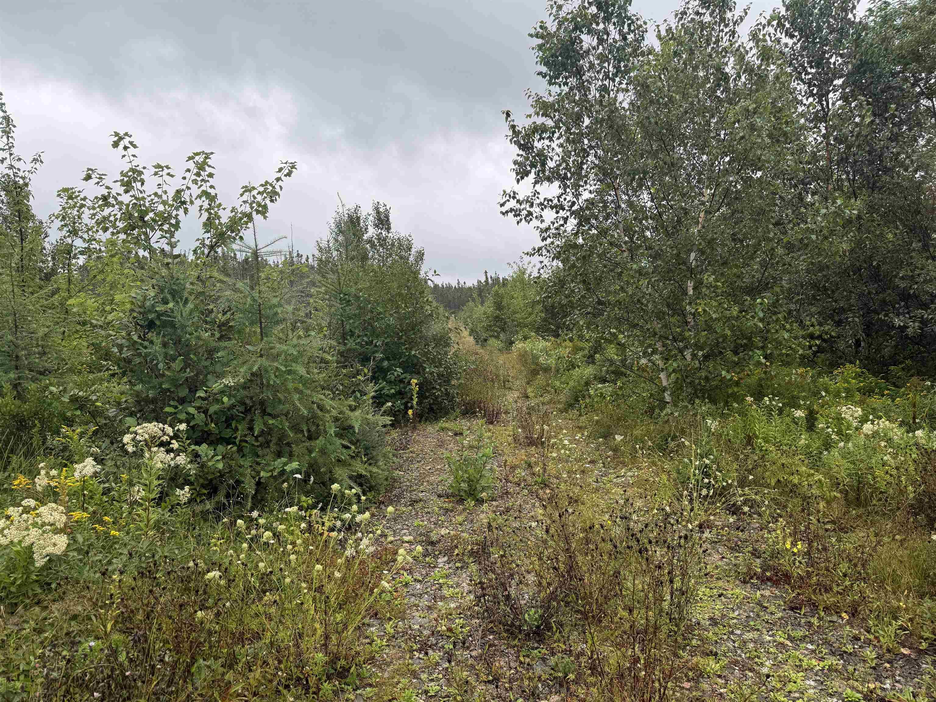 $79,500.00: Highway 19 Highway, Long Point