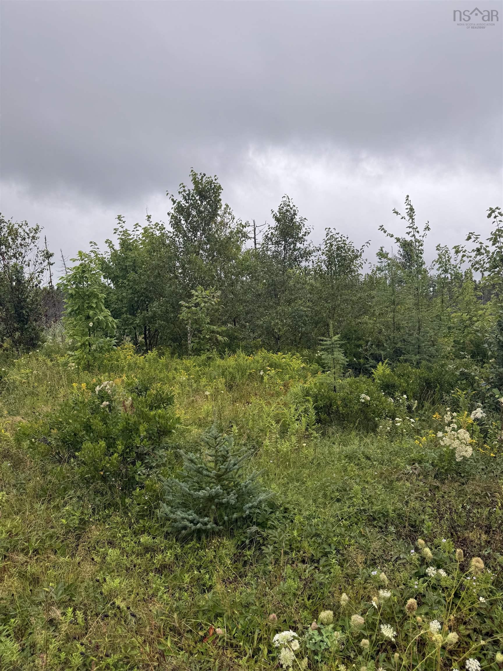 $79,500.00: Highway 19 Highway, Long Point
