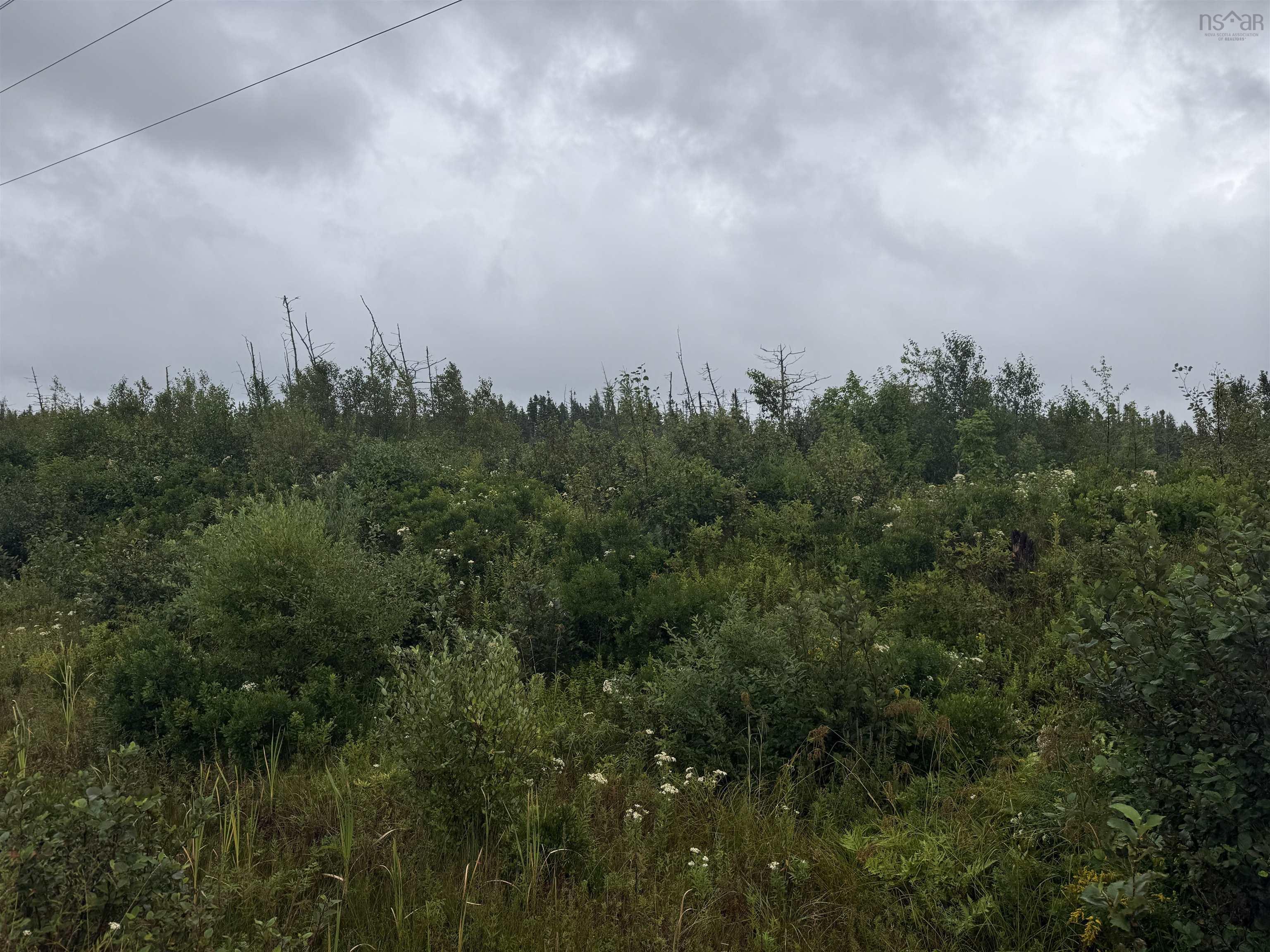 $79,500.00: Highway 19 Highway, Long Point