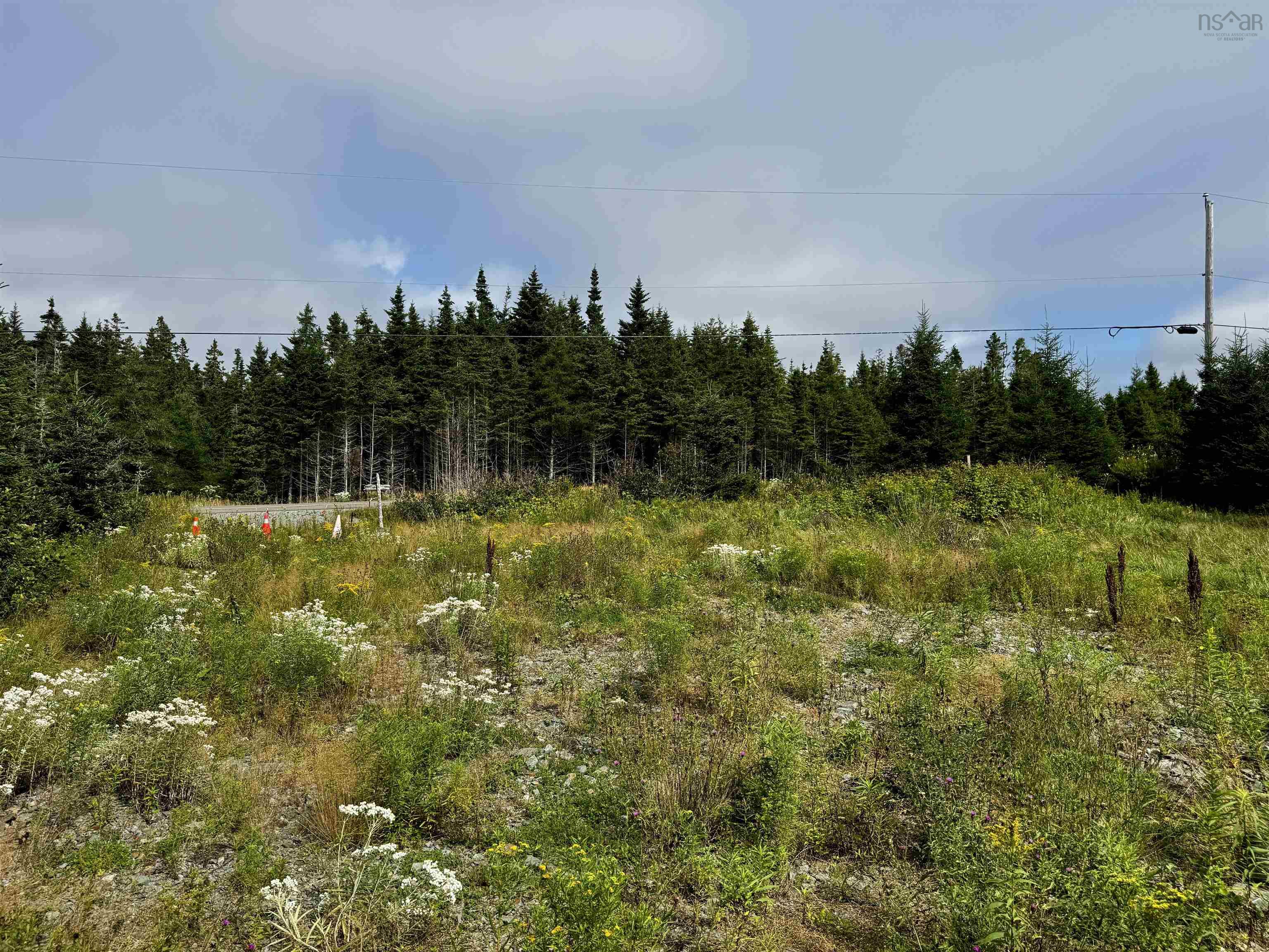 $99,000.00: Fourchu Rd., L