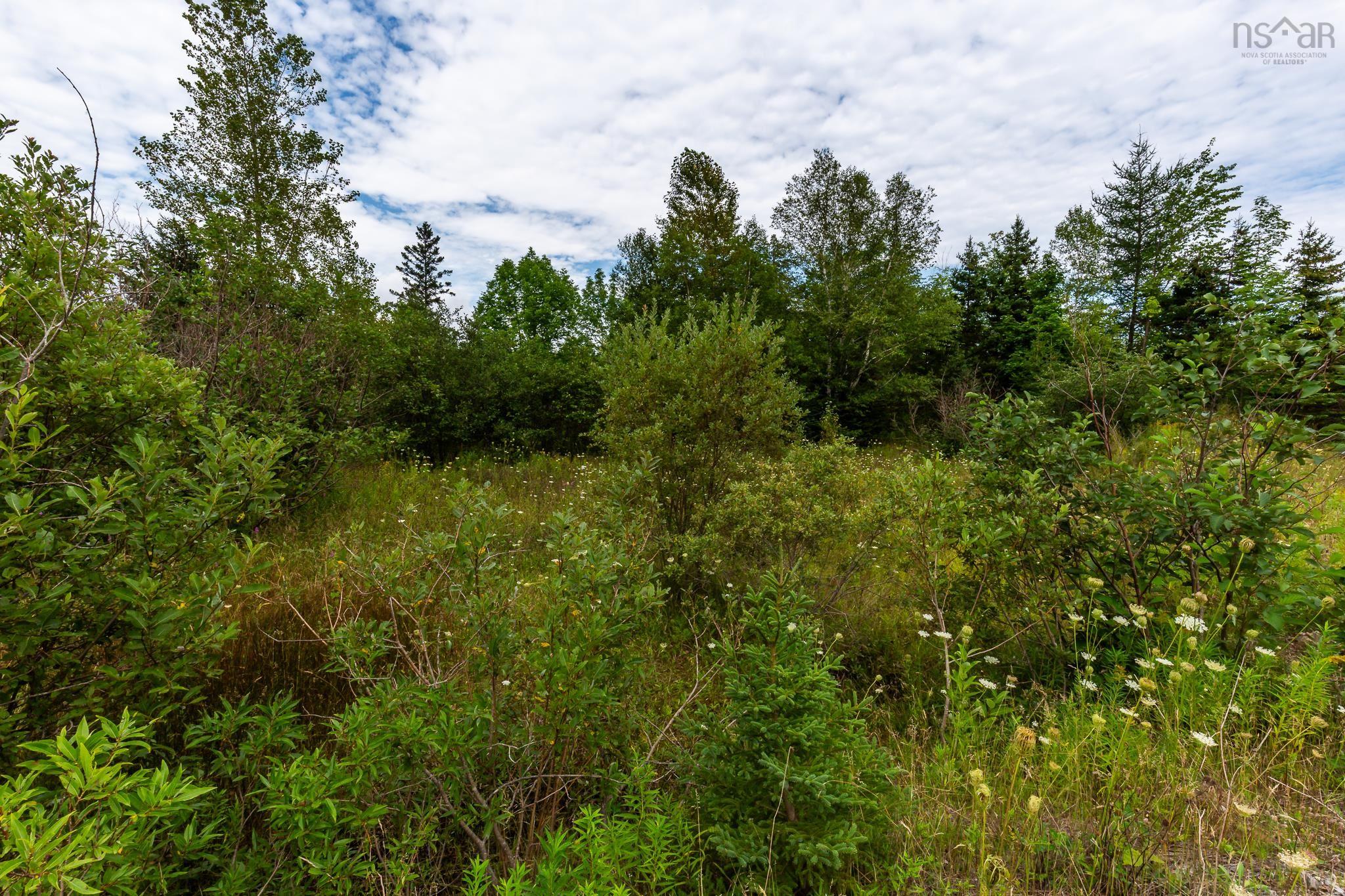 $69,900.00: Lot 92-2 HIGHWAY 105, Whycocomagh