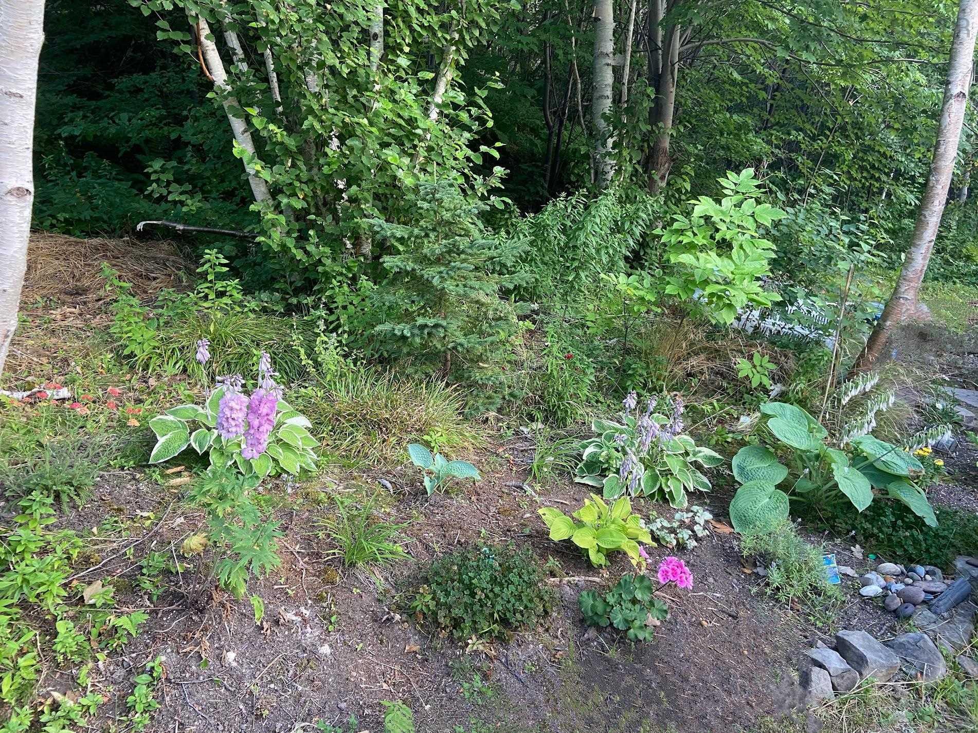 $148,700.00: Lot 21-8 Shore Road, Margaree Harbour