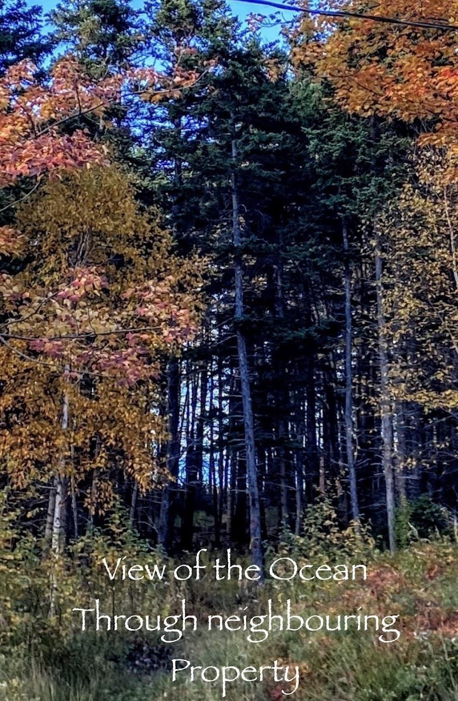 $148,700.00: Lot 21-8 Shore Road, Margaree Harbour