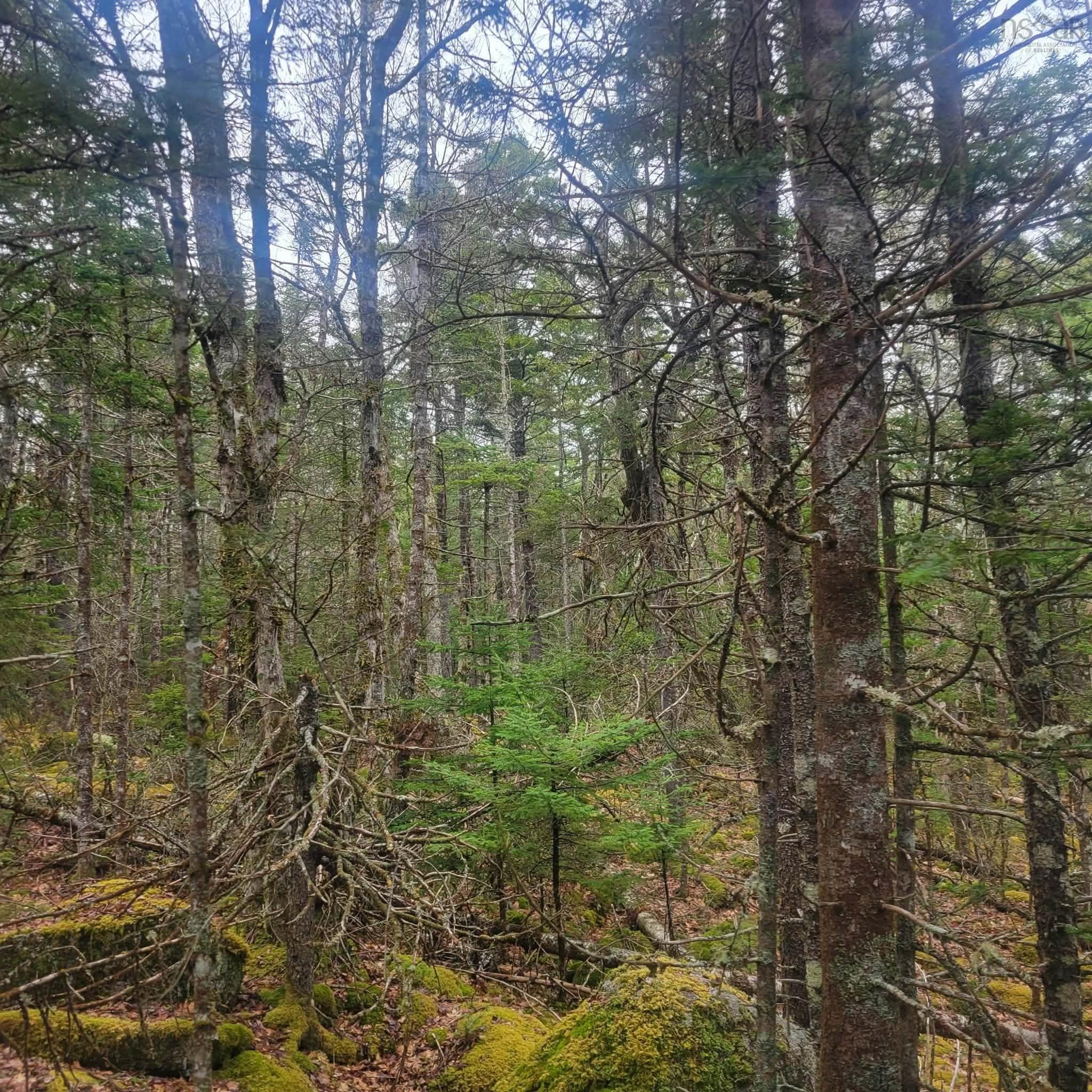$39,000.00: Lot 17 Tupper Lake, Westfield