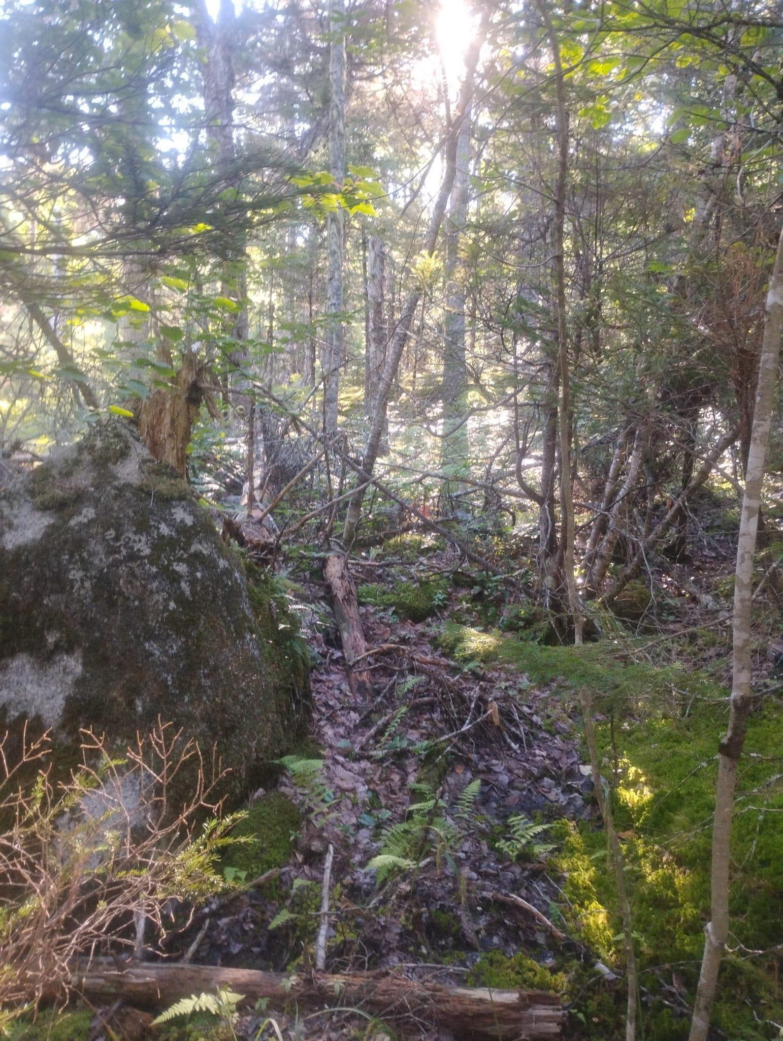 $39,000.00: Lot 17 Tupper Lake, Westfield
