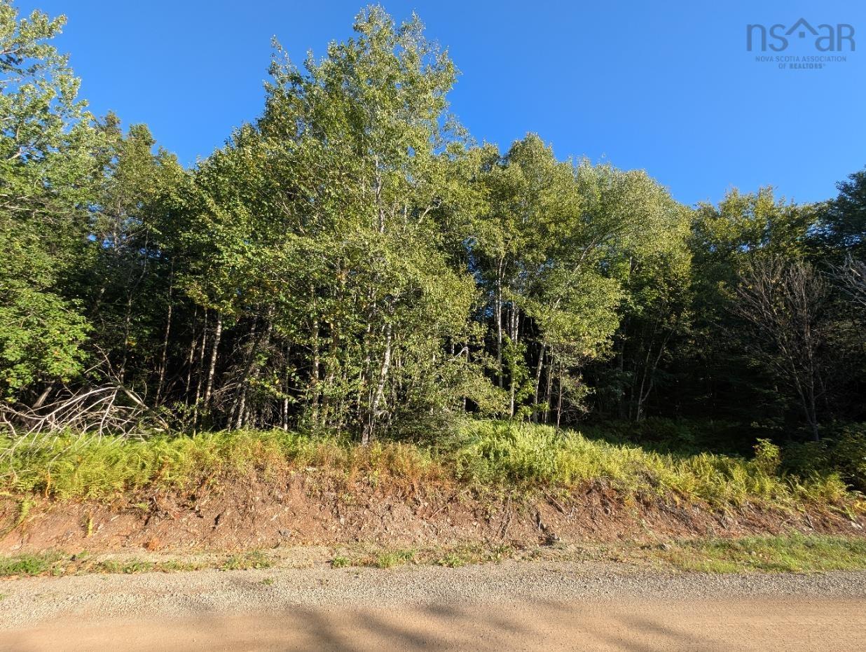 $40,000.00: Glen Albert Drive, Big Pond