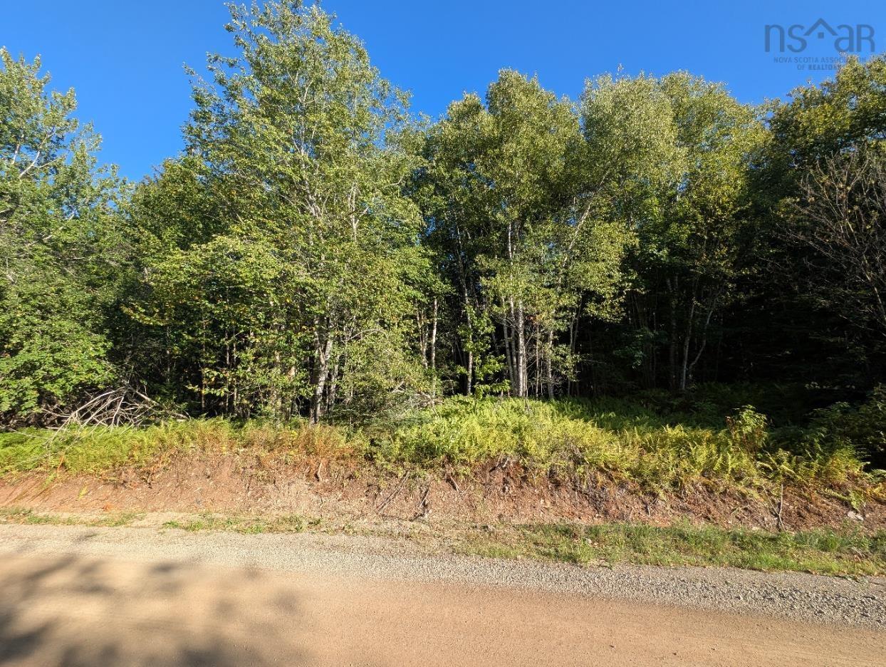 $40,000.00: Glen Albert Drive, Big Pond