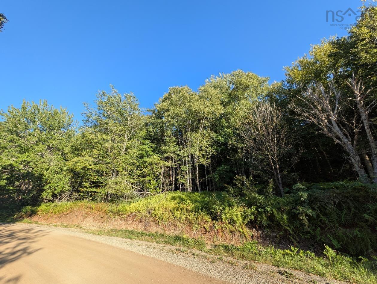 $40,000.00: Glen Albert Drive, Big Pond