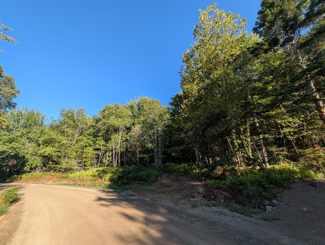 $40,000.00: Glen Albert Drive, Big Pond