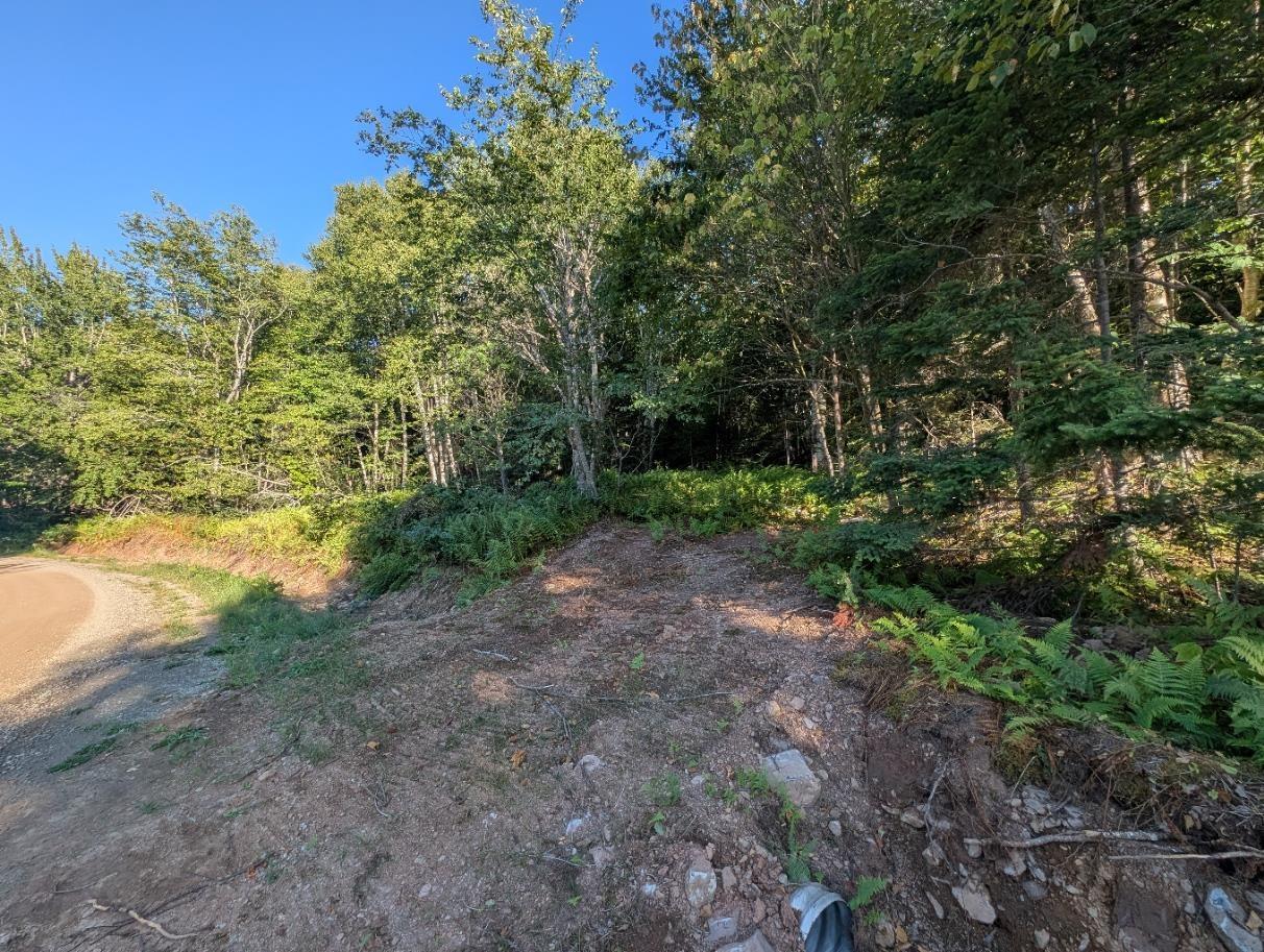 $40,000.00: Glen Albert Drive, Big Pond
