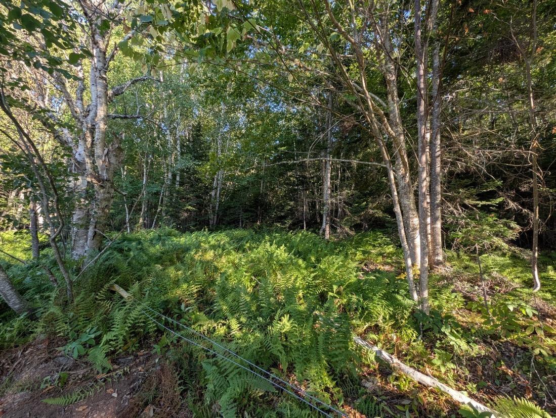 $40,000.00: Glen Albert Drive, Big Pond