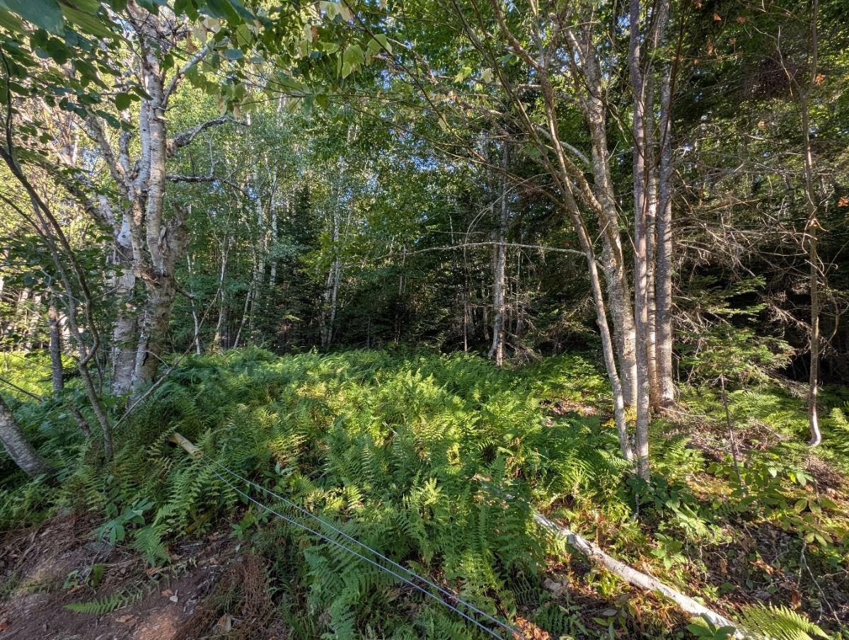 $40,000.00: Glen Albert Drive, Big Pond