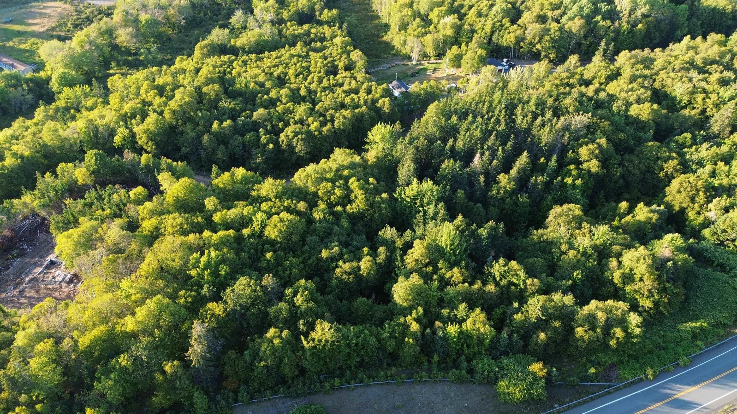 $40,000.00: Glen Albert Drive, Big Pond