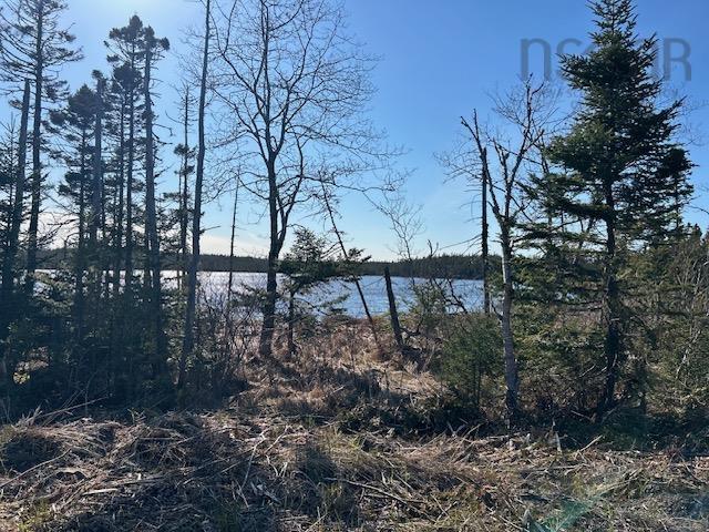 $69,000.00: Salmon River Road, Salmon River