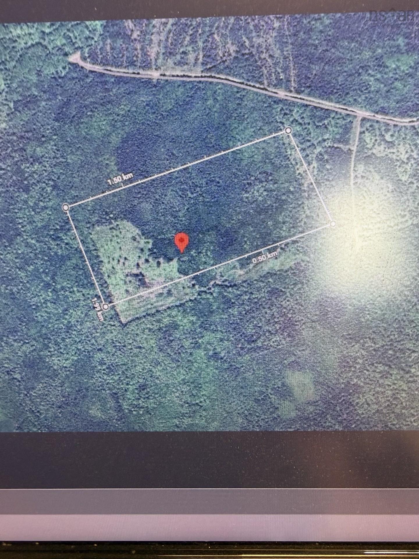 $50,000.00: 50 acres on Back Settlement Road, West Lakevale, Lakevale