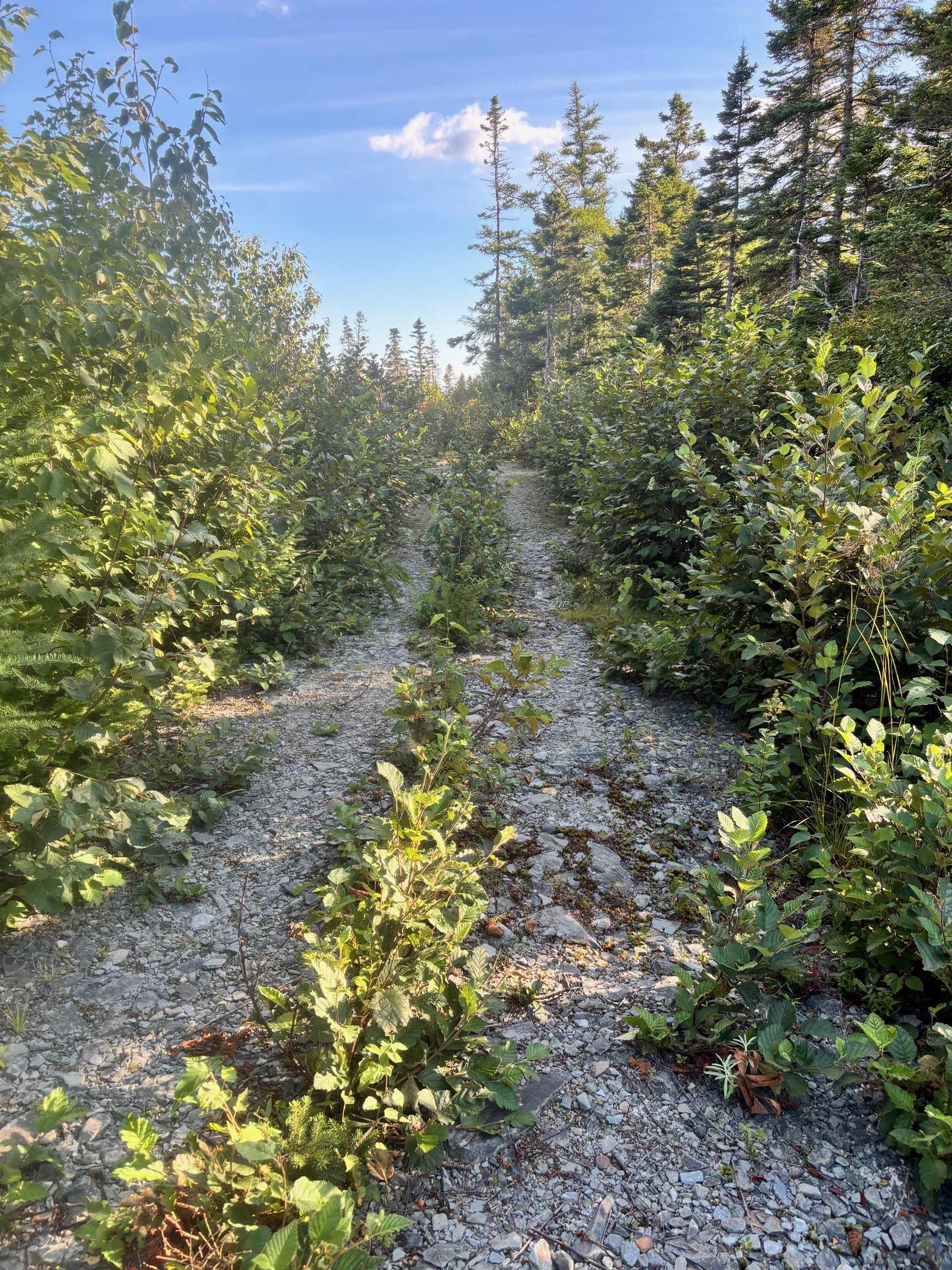$149,900.00: Lot 2 Highway 7, Port Dufferin