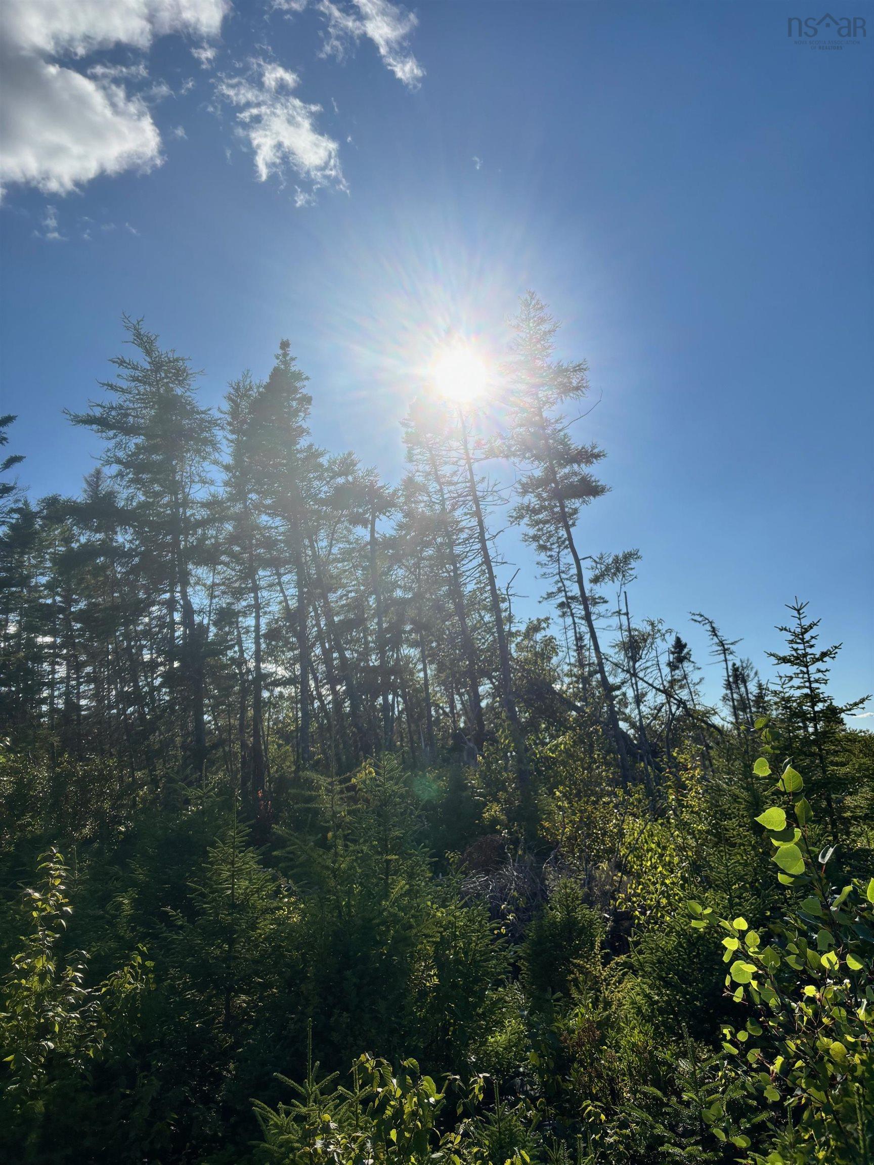$149,900.00: Lot 2 Highway 7, Port Dufferin