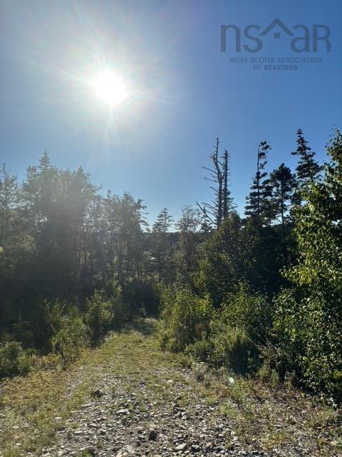 $149,900.00: Lot 2 Highway 7, Port Dufferin