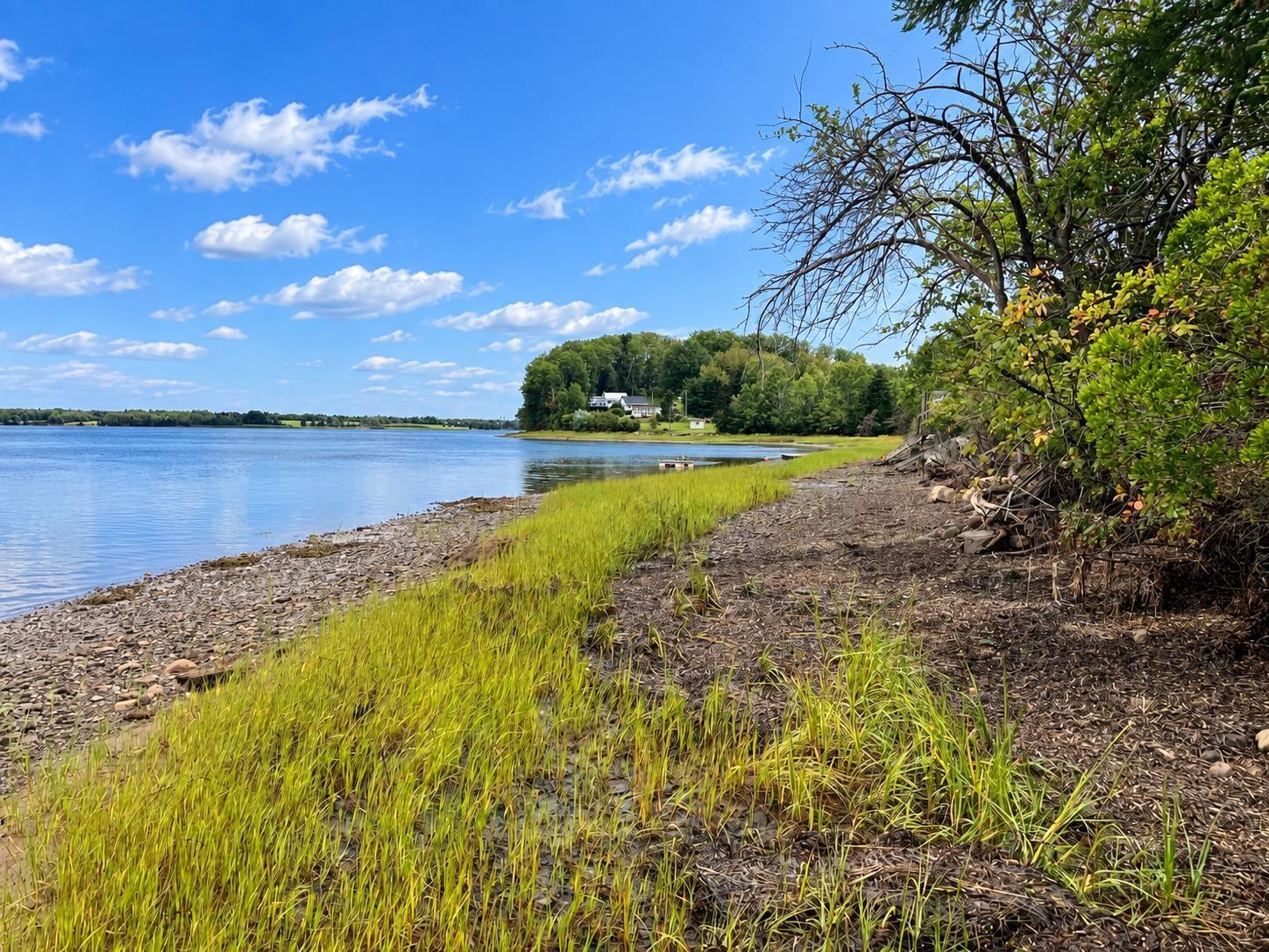 $60,000.00: Lot 22-2 Malagash Road Road, Malagash