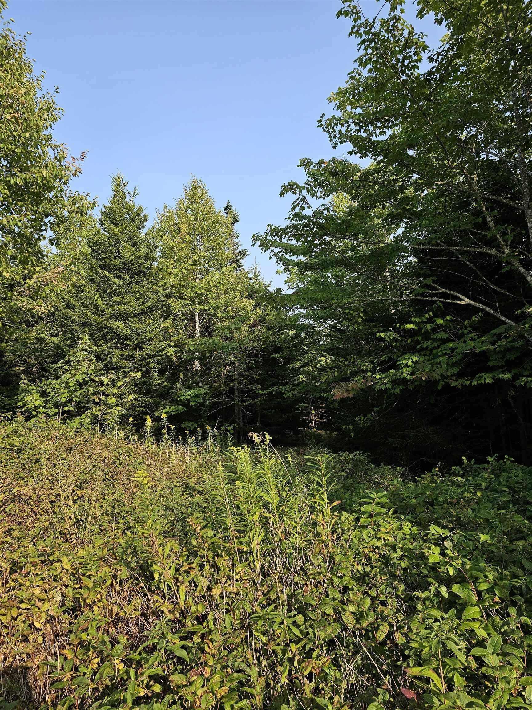 $55,000.00: Lot 52 Fundy Lane, Two Islands