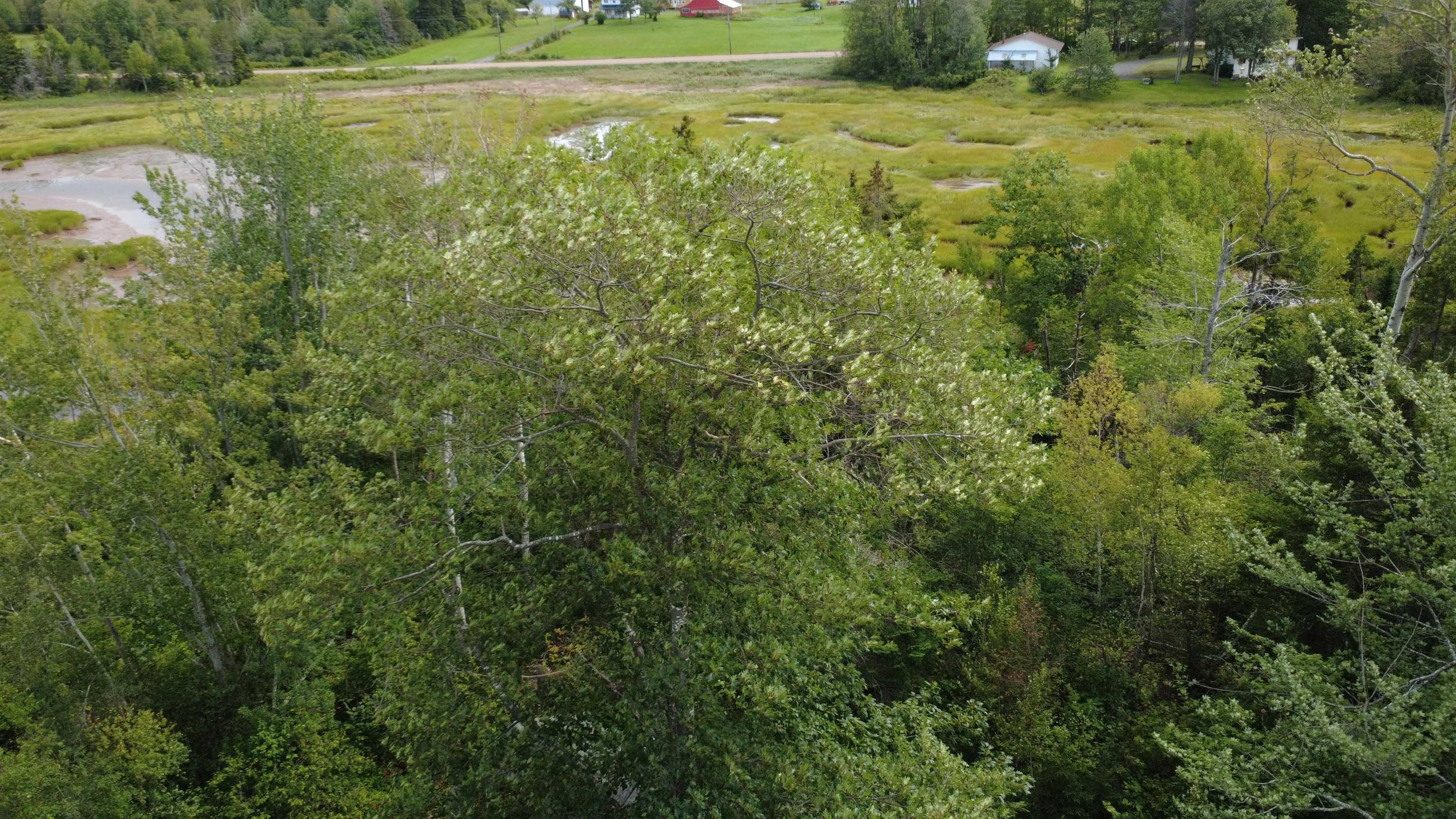 $279,000.00: Highway 6, Waldegrave