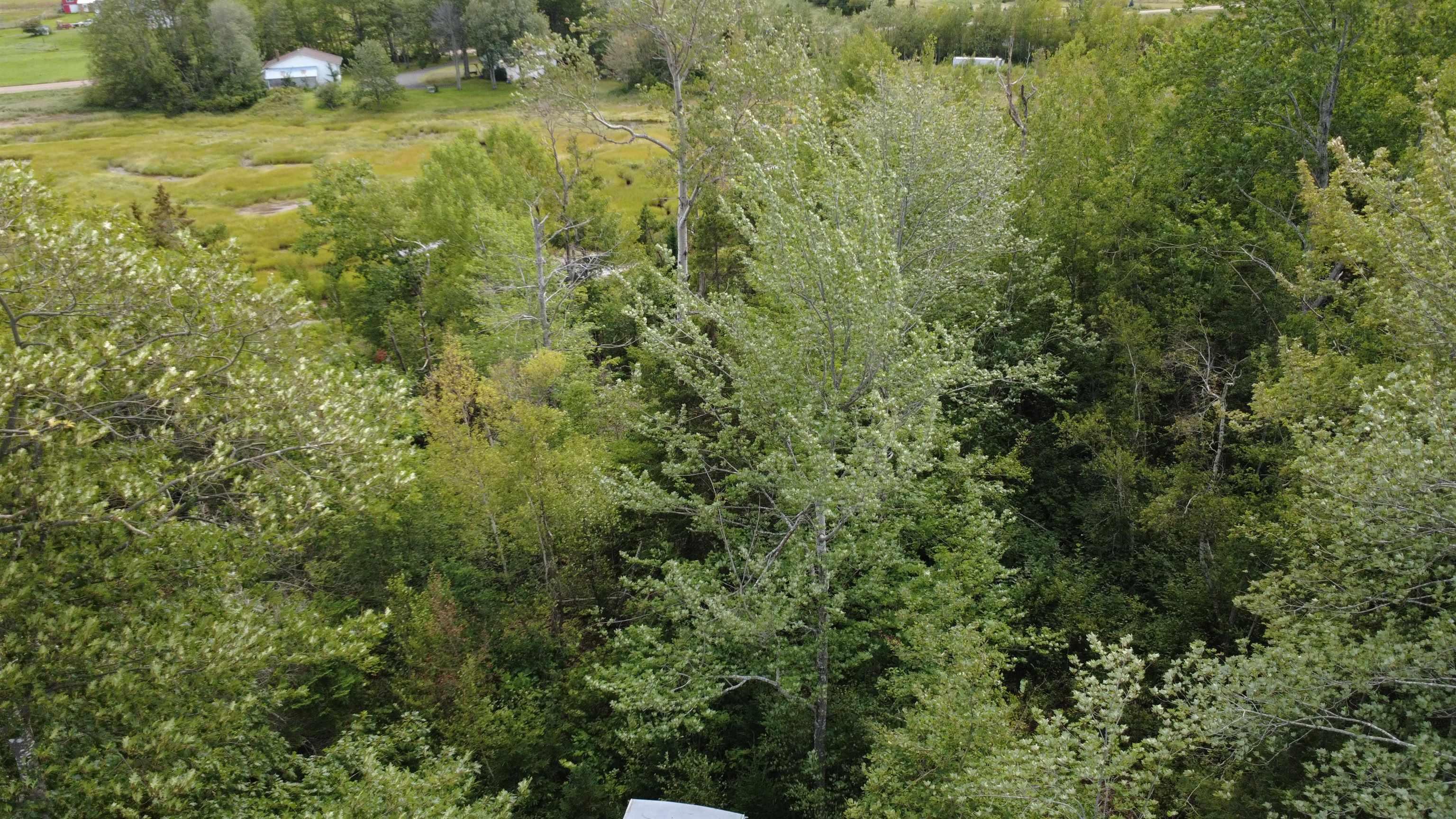 $279,000.00: Highway 6, Waldegrave