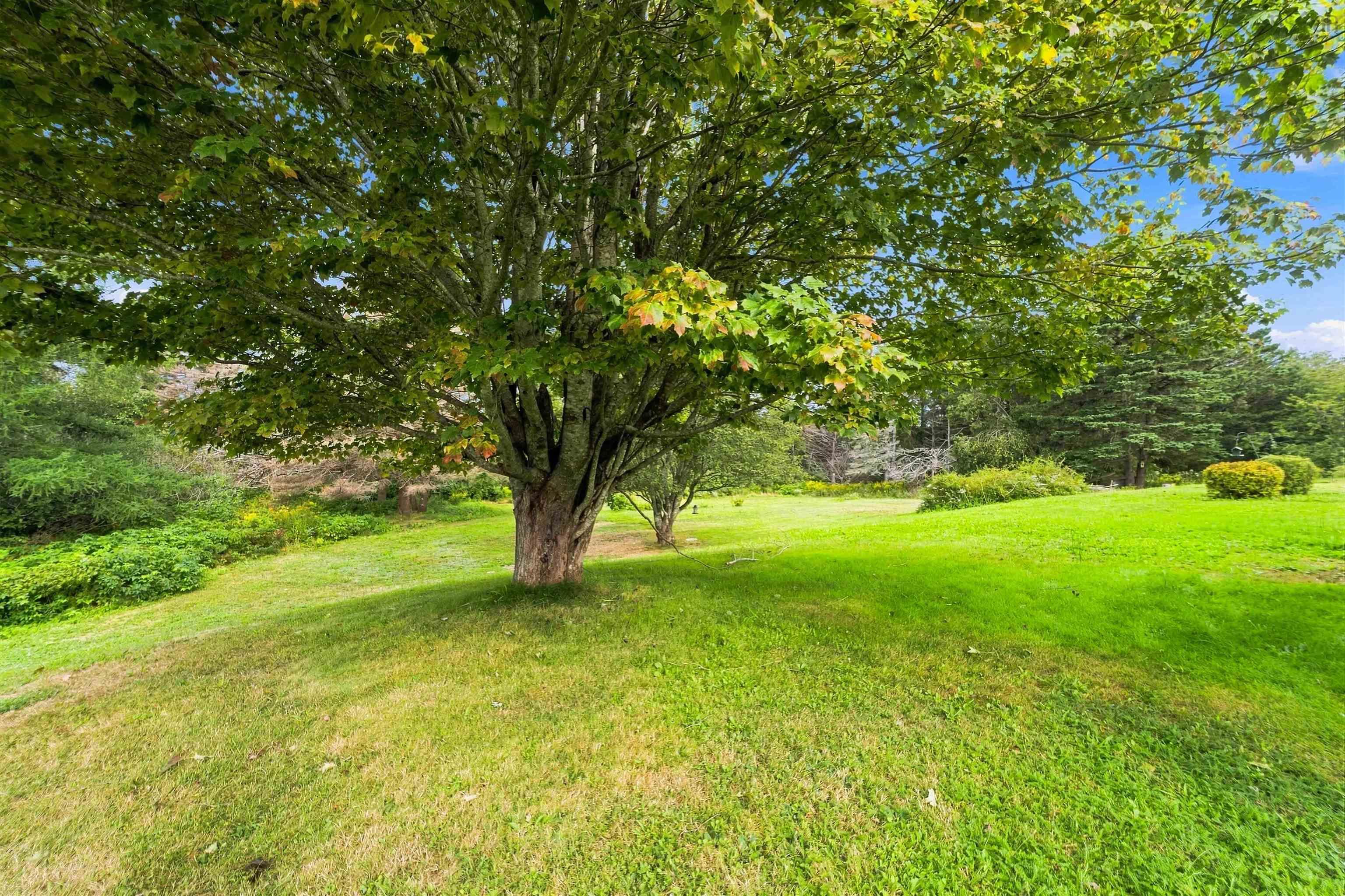 $219,900.00: Lot 4-C 9057 Highway 101, Brighton