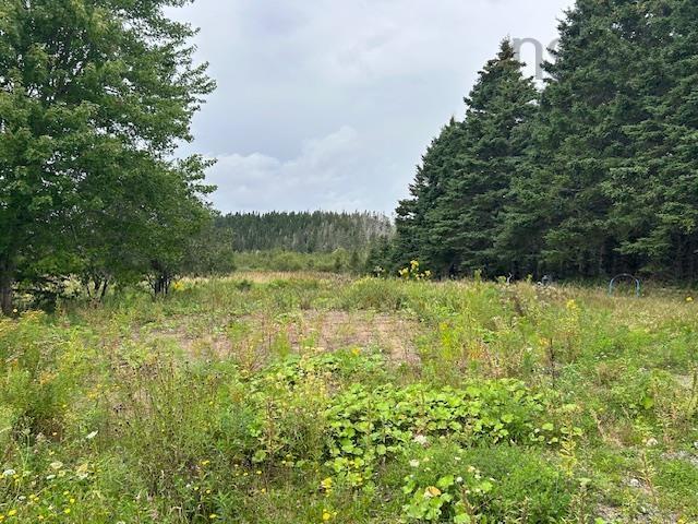 $98,000.00: 1773 Highway 247, L