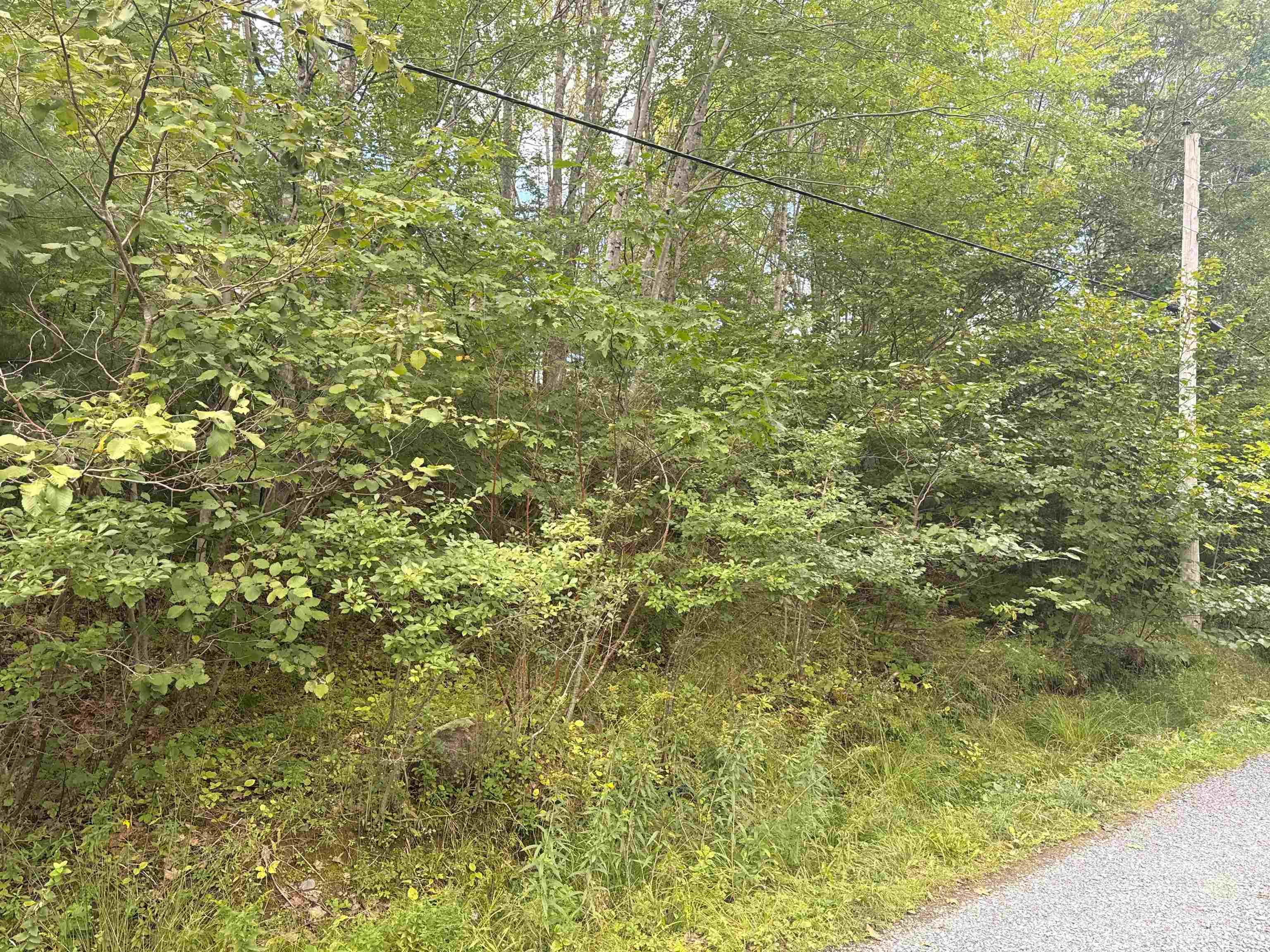 $59,900.00: Lot Indian Lake Road, Union Square