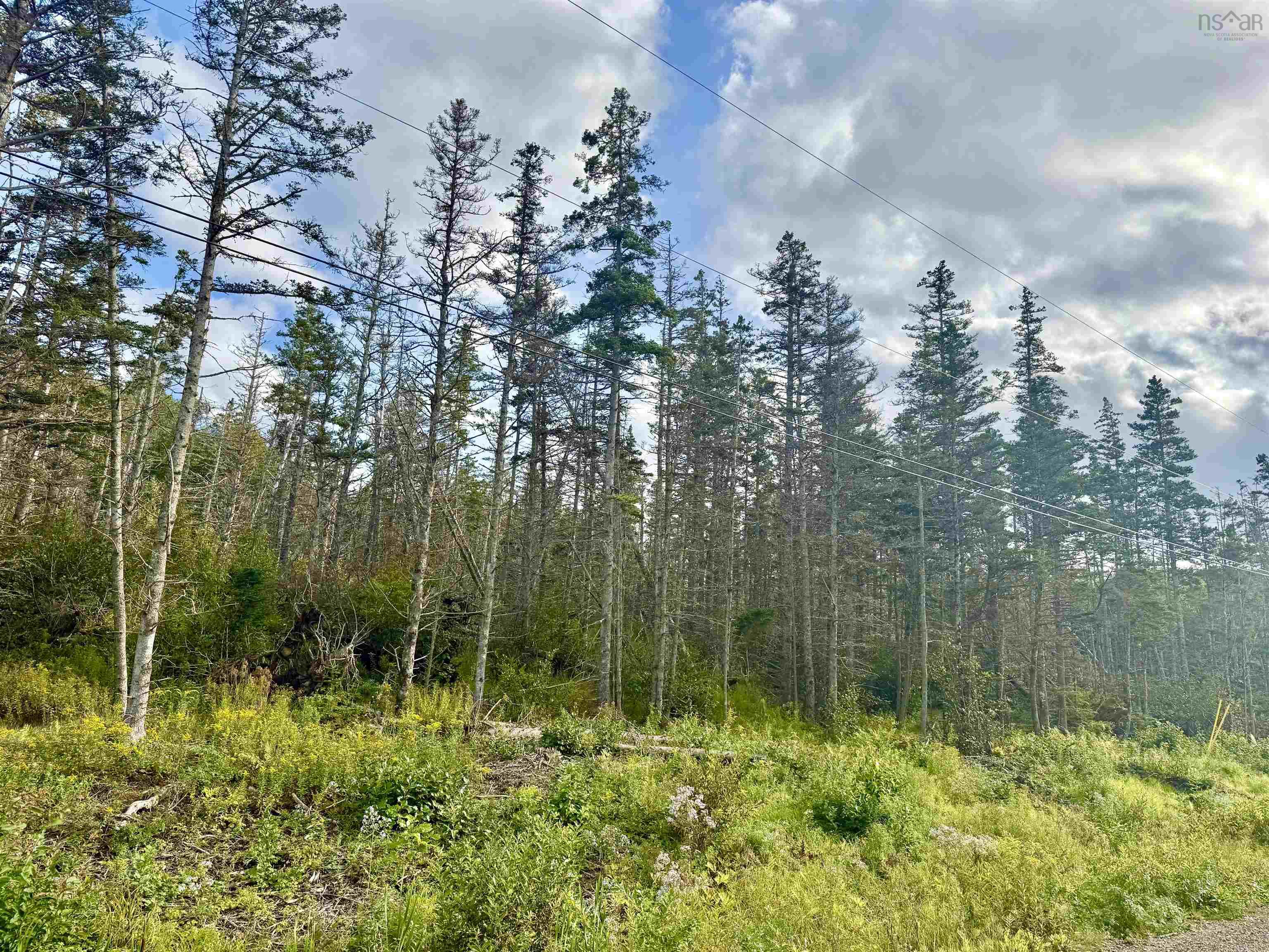 $99,000.00: Lot B Old Baxter Mill Road, Baxters Harbour