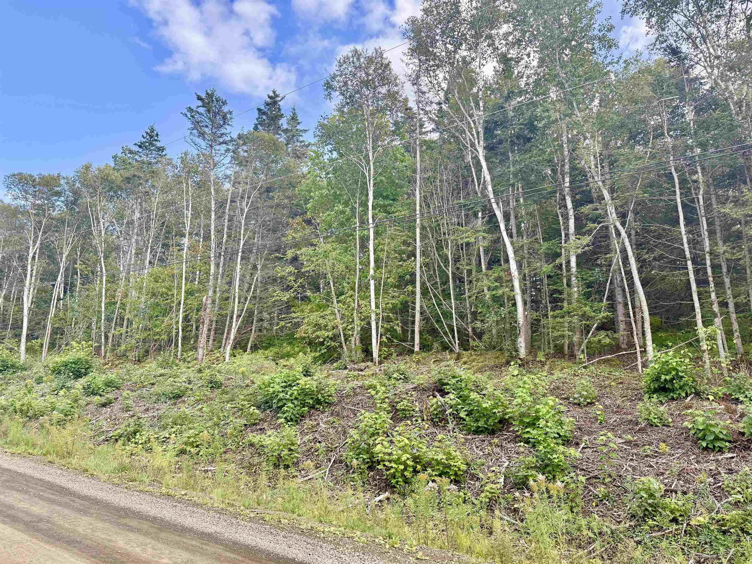 $99,000.00: Lot B Old Baxter Mill Road, Baxters Harbour