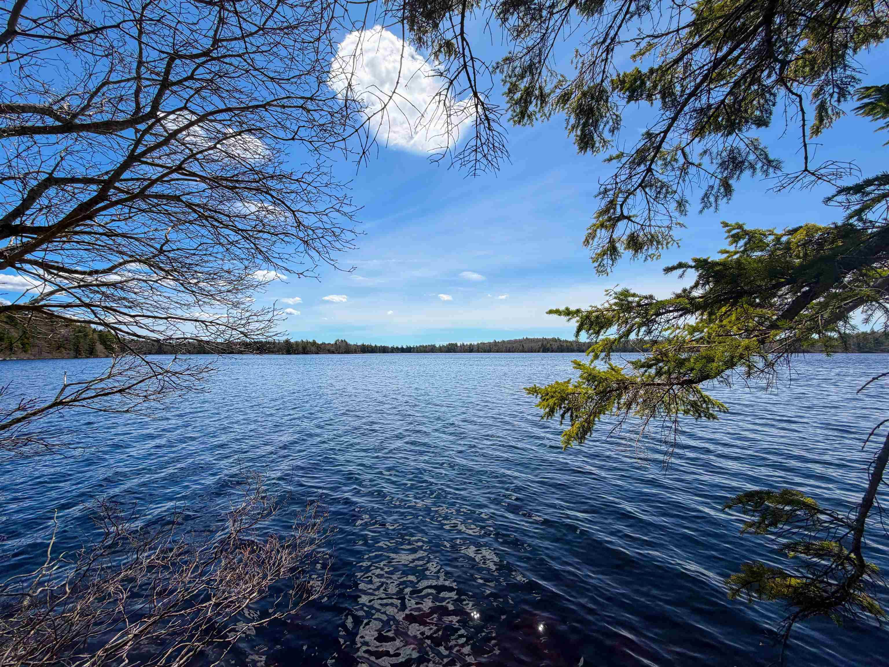 $85,000.00: Lot 28, Boutilier Branch Road, Kemptville