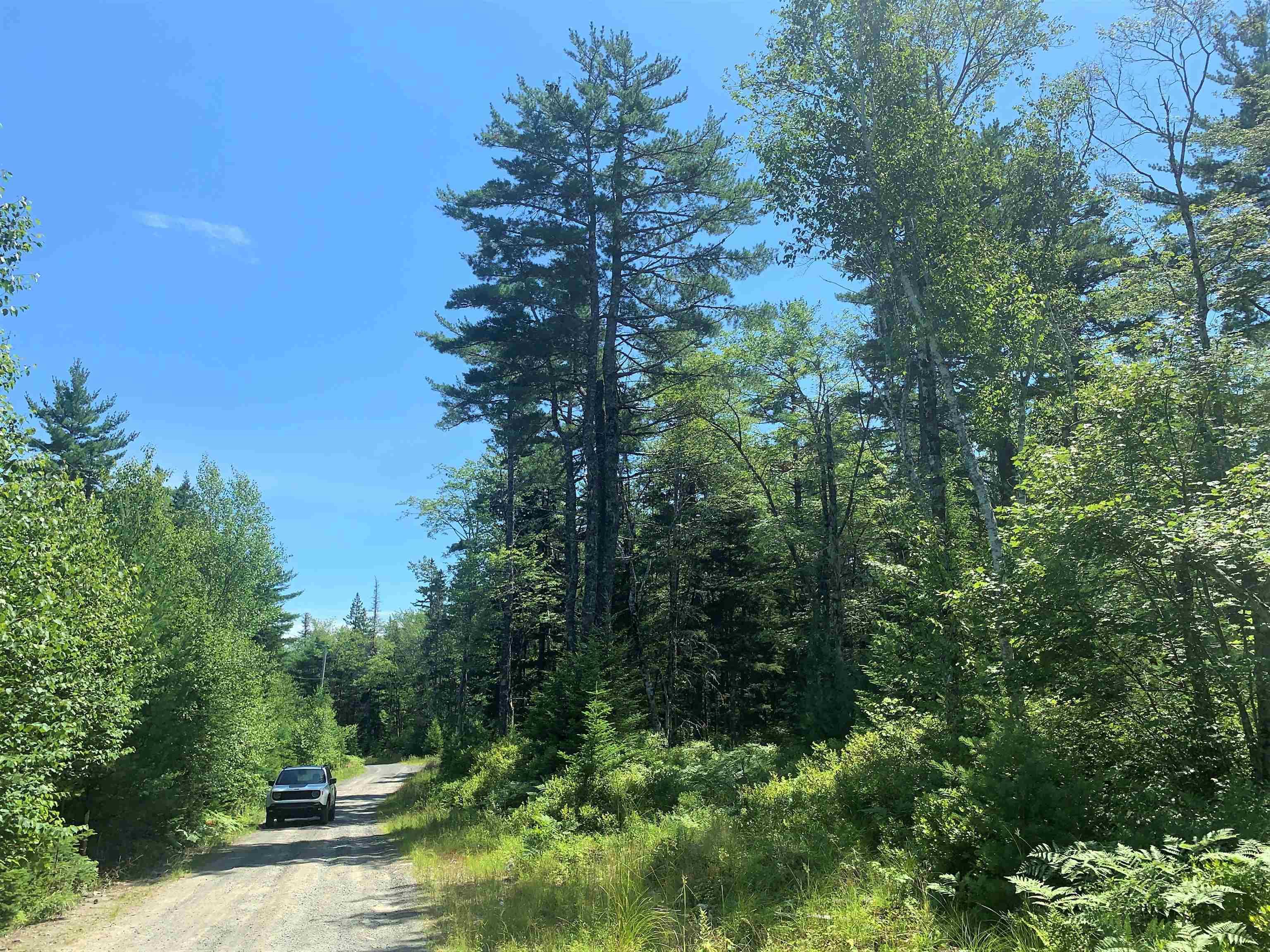 $85,000.00: Lot 28, Boutilier Branch Road, Kemptville