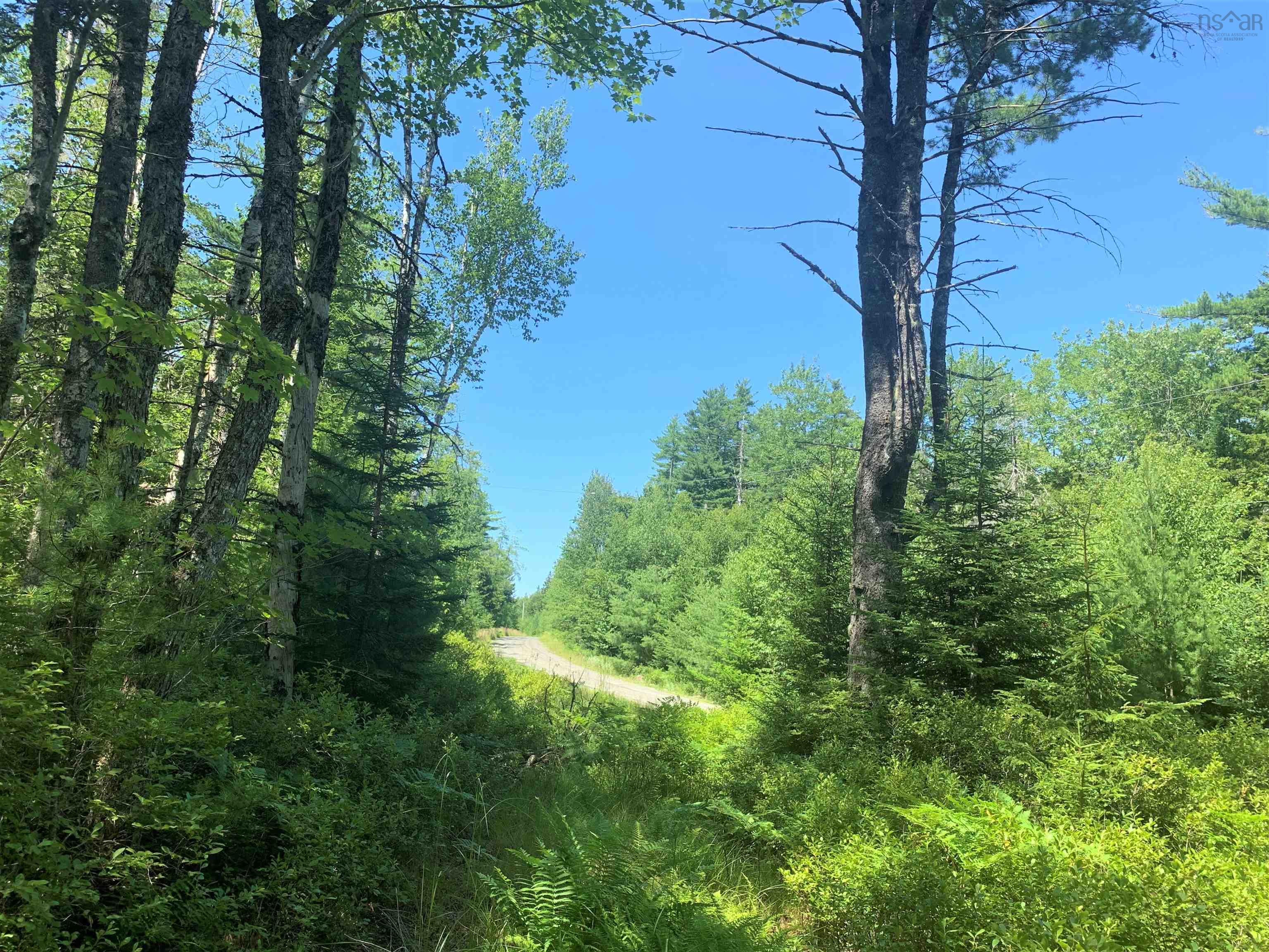 $85,000.00: Lot 28, Boutilier Branch Road, Kemptville