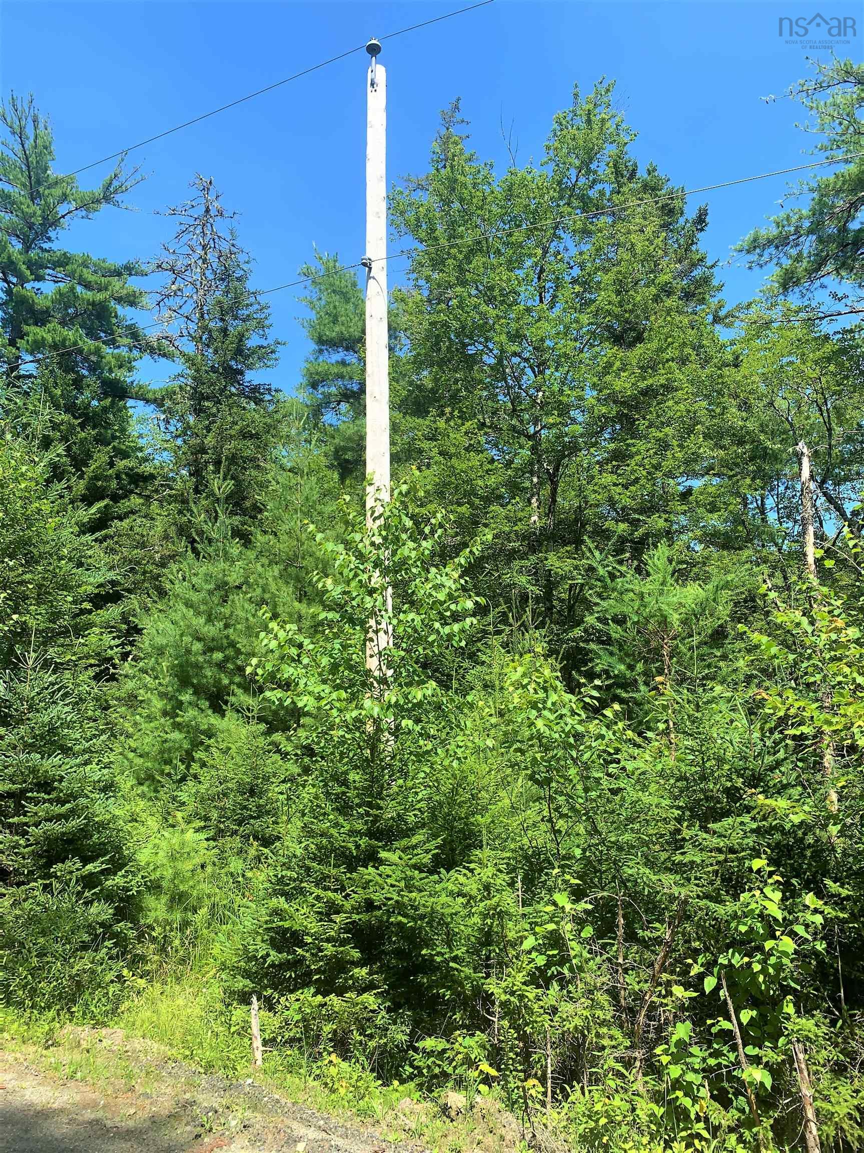 $85,000.00: Lot 28, Boutilier Branch Road, Kemptville