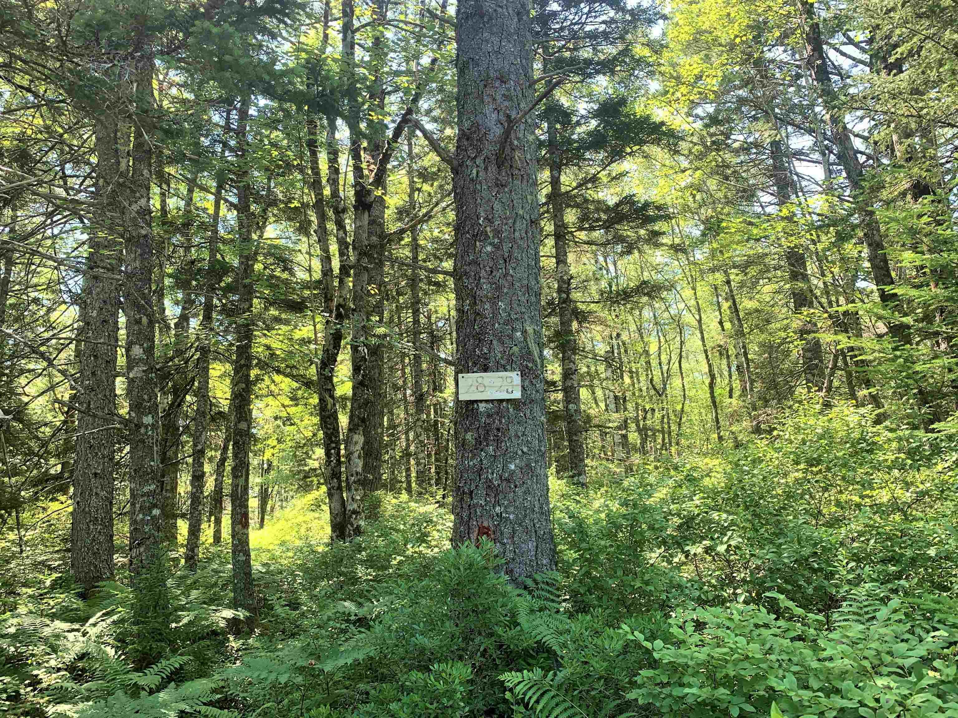 $85,000.00: Lot 28, Boutilier Branch Road, Kemptville