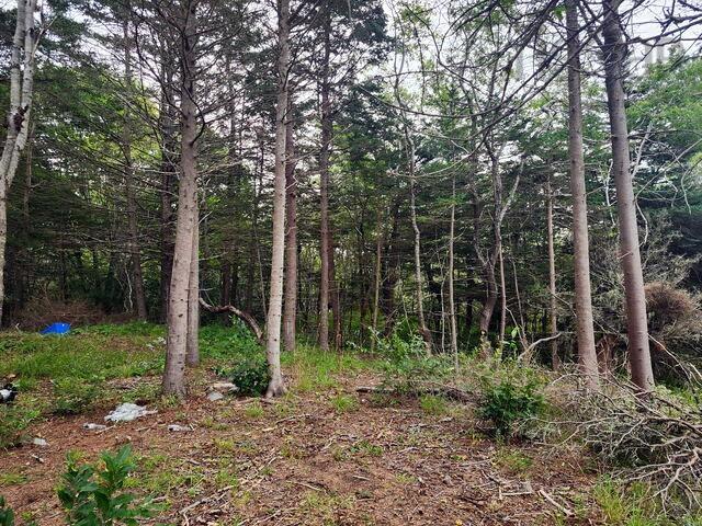 $69,000.00: 20 Chemin Isaac Road, Sluice Point