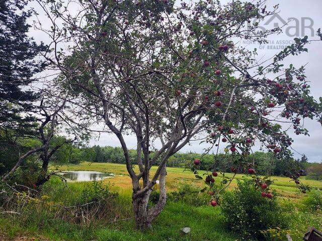 $69,000.00: 20 Chemin Isaac Road, Sluice Point