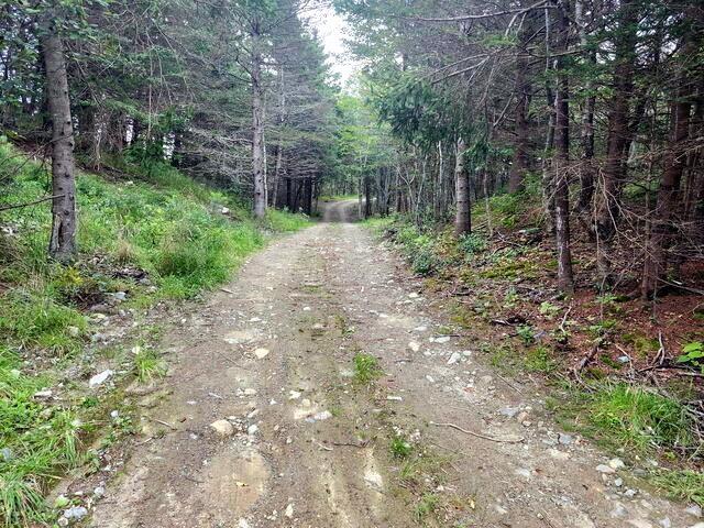 $69,000.00: 20 Chemin Isaac Road, Sluice Point
