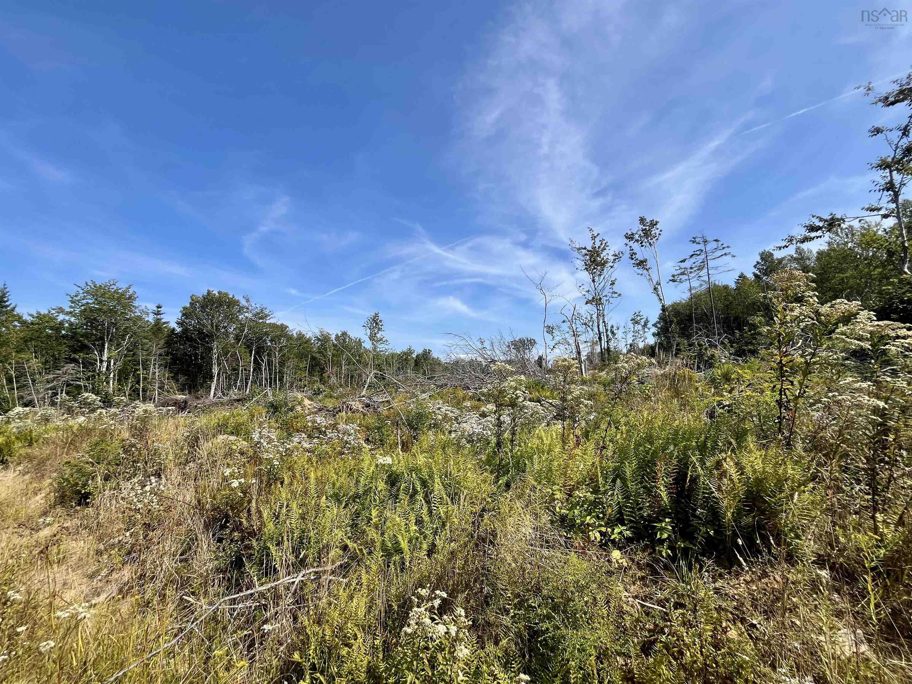 $14,900.00: Lot, Second Division Road, Meteghan