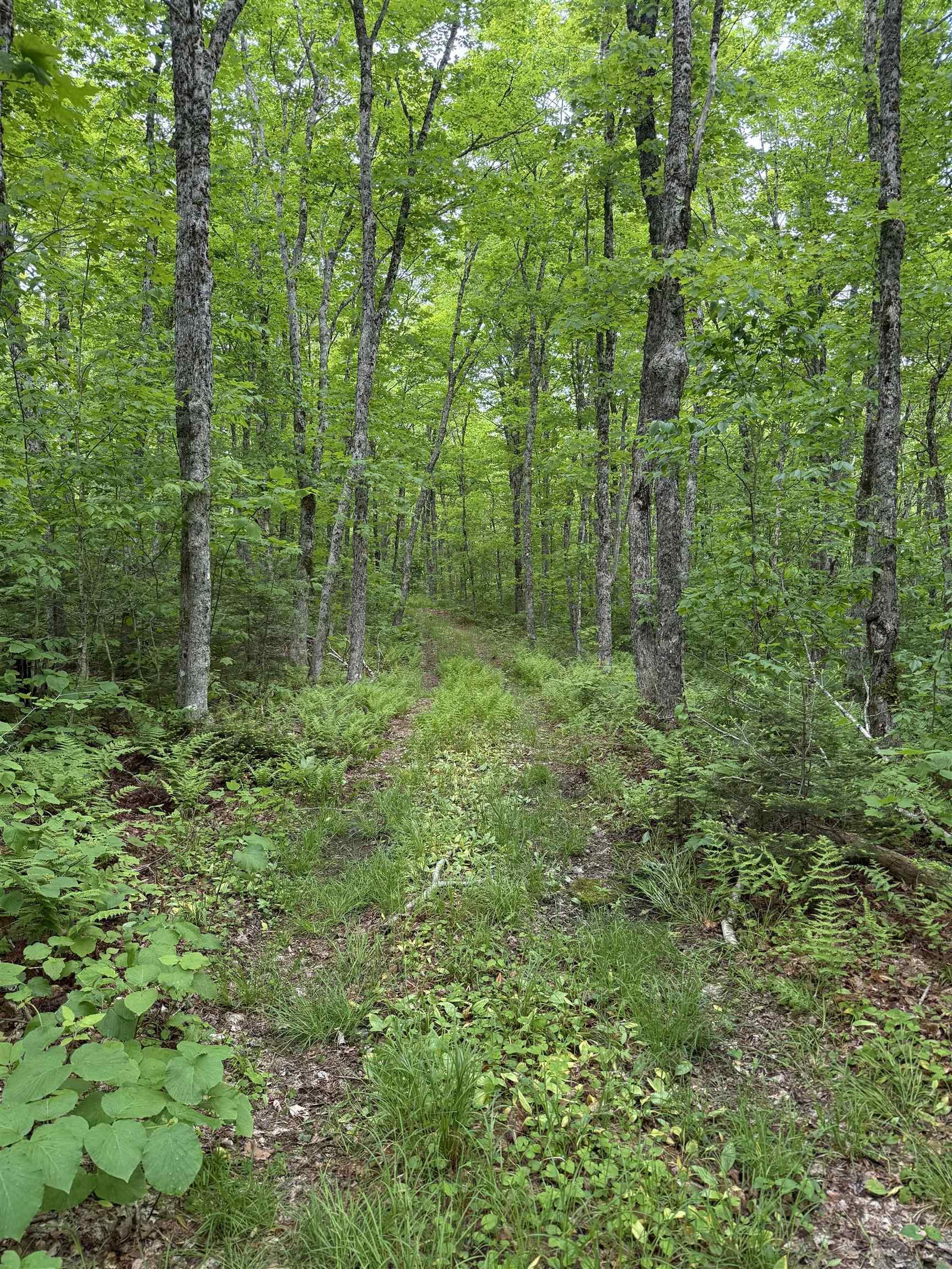 $109,900.00: Lot (PID 20098885) Truro Road, New Annan