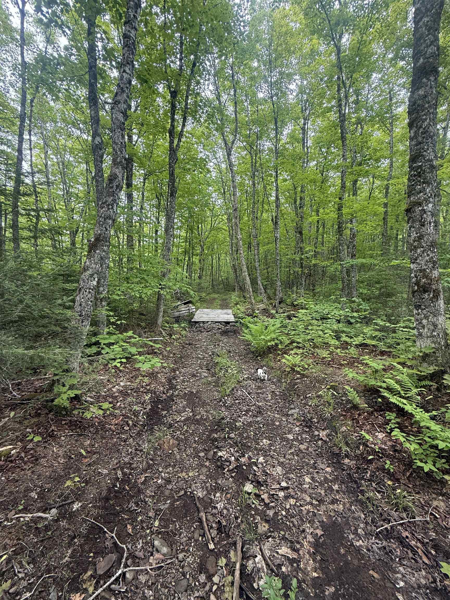 $109,900.00: Lot (PID 20098885) Truro Road, New Annan