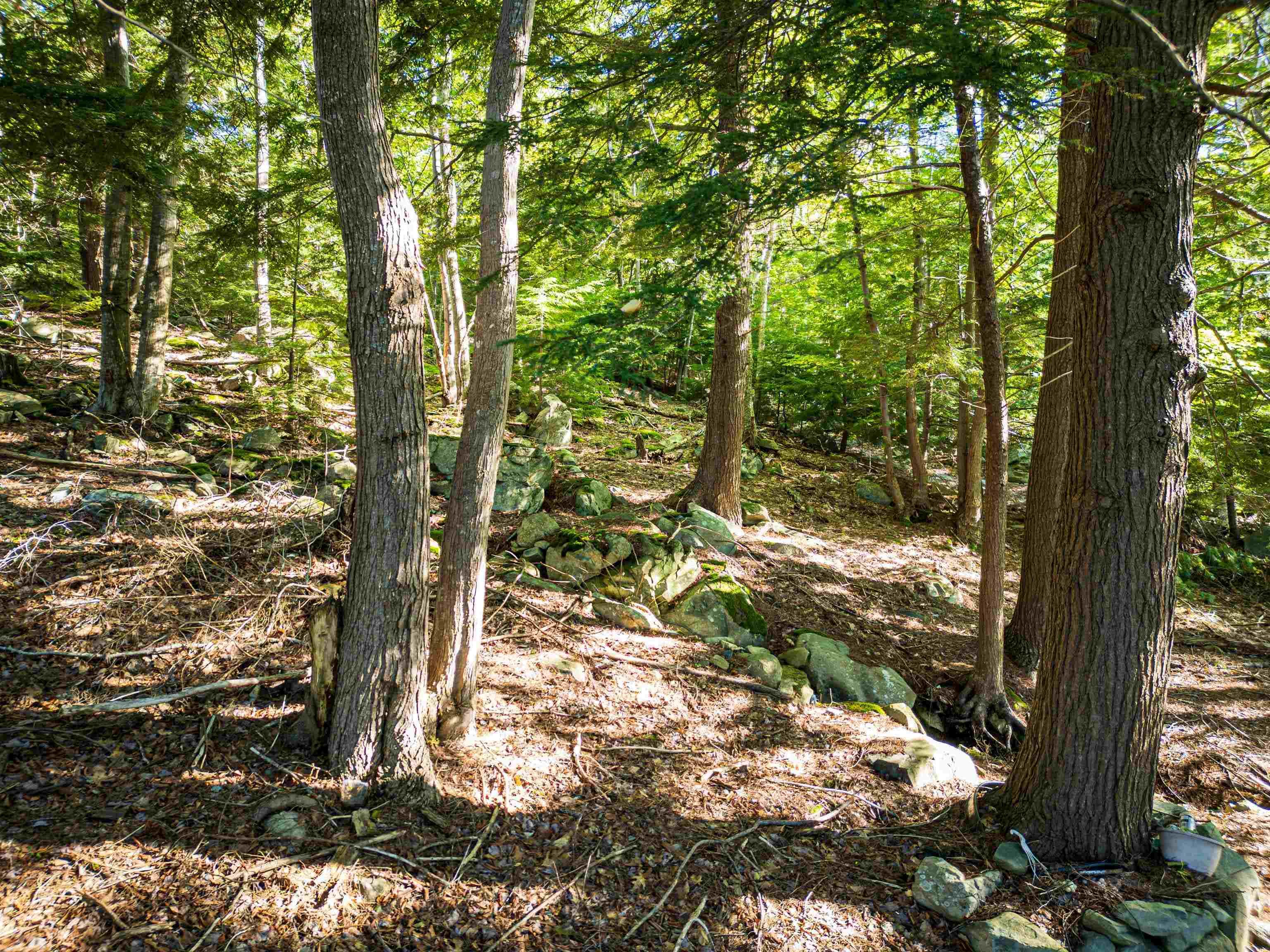 $449,900.00: LOT 1394 Waverley Road, Waverley